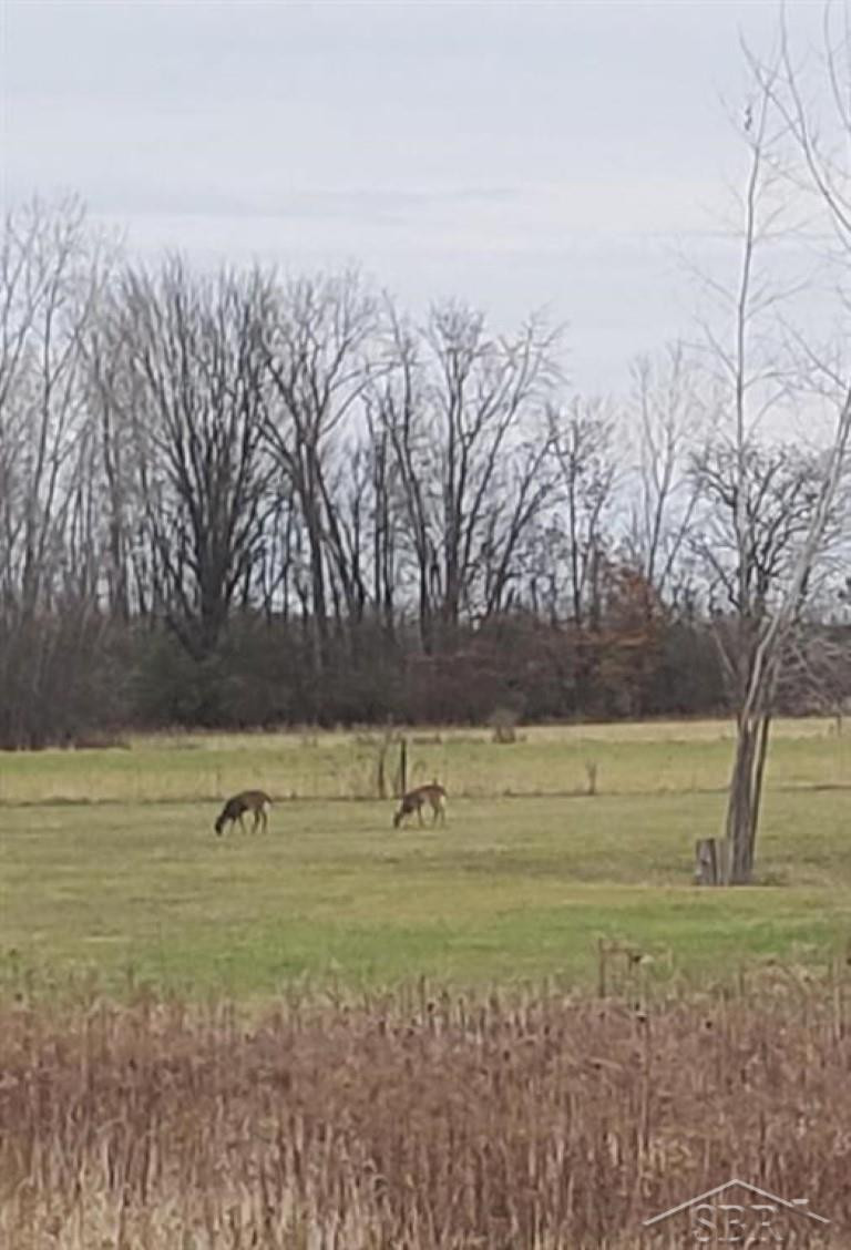 5120 N Five Mile Road, Hope, MI 48628 — Photo 13