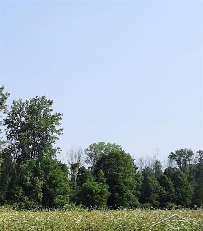 5120 N Five Mile Road, Hope, MI 48628 — Photo 14