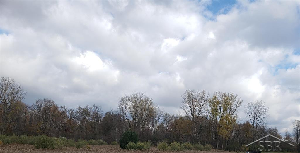 5120 N Five Mile Road, Hope, MI 48628 — Photo 15