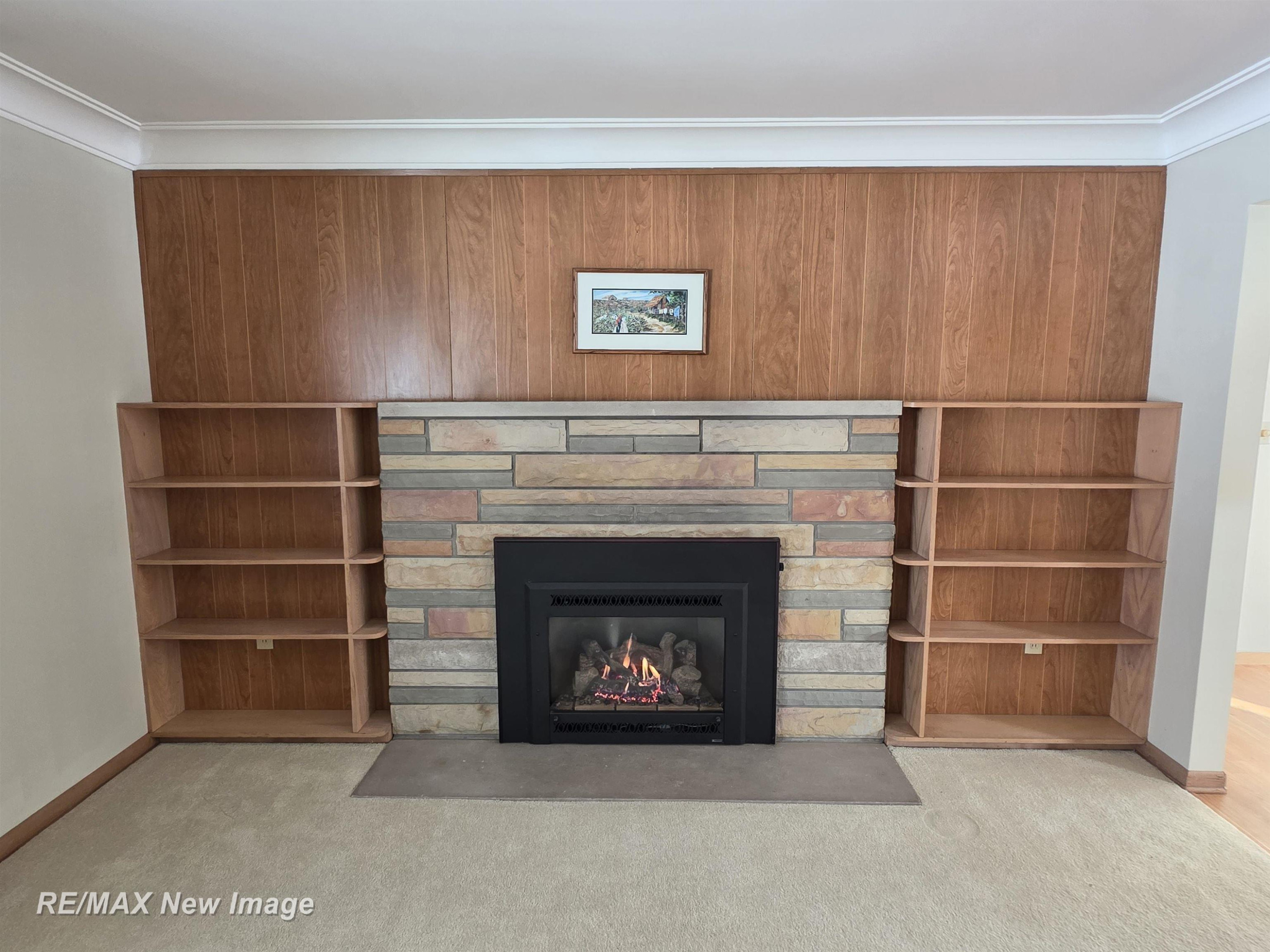 324 Andres Street, Chesaning, MI 48616 — Photo 11