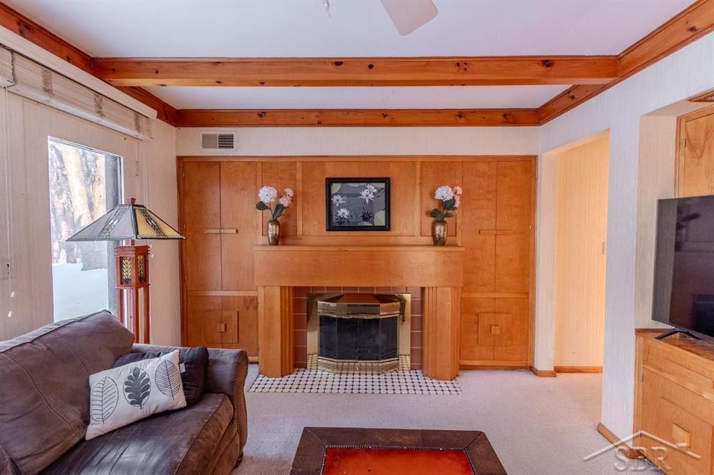 530 S Antler Street, Gladwin, MI 48624 — Photo 13