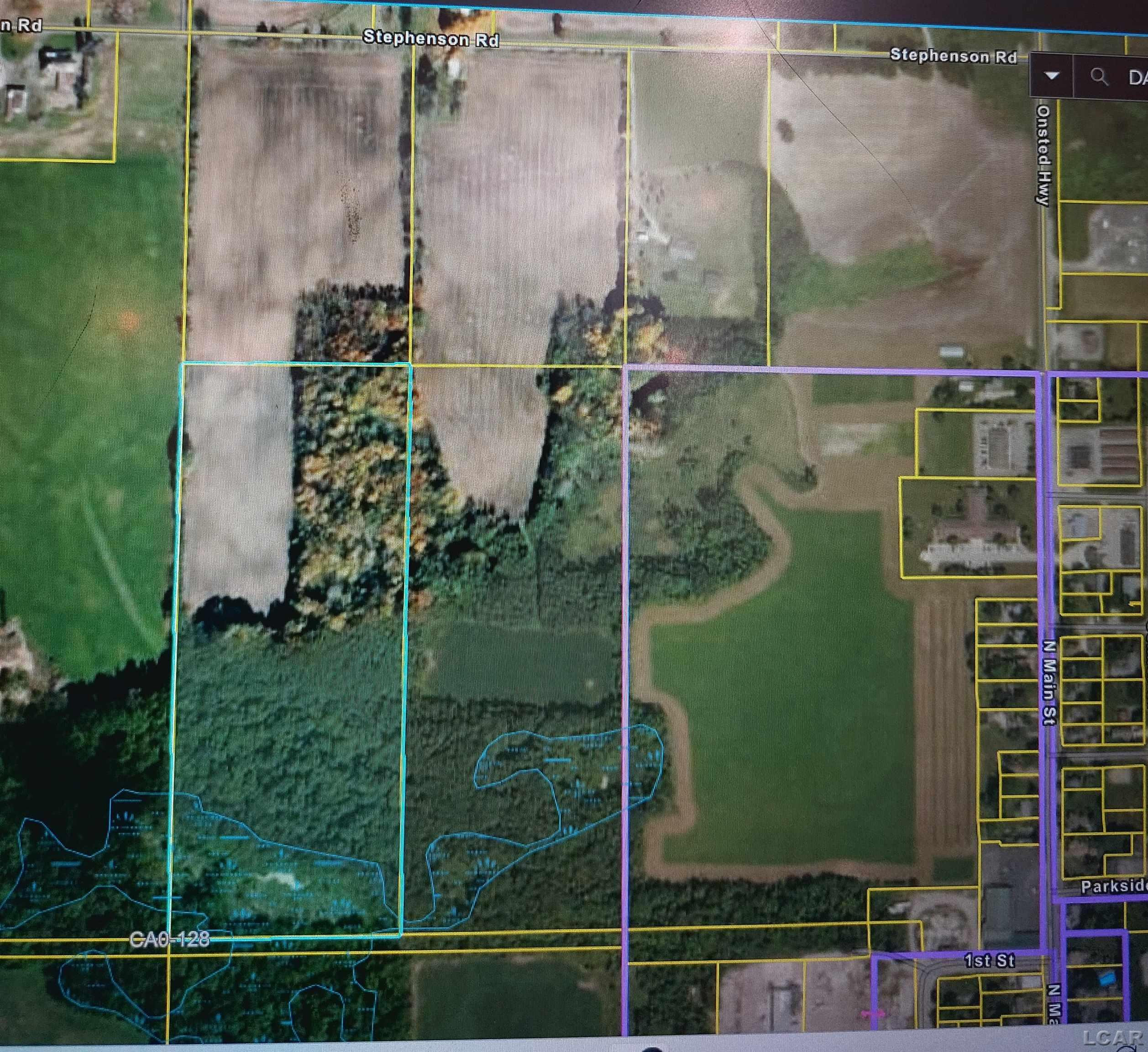 10000 Stephenson Rd Blk Road, Onsted, MI 49265 — Photo 2