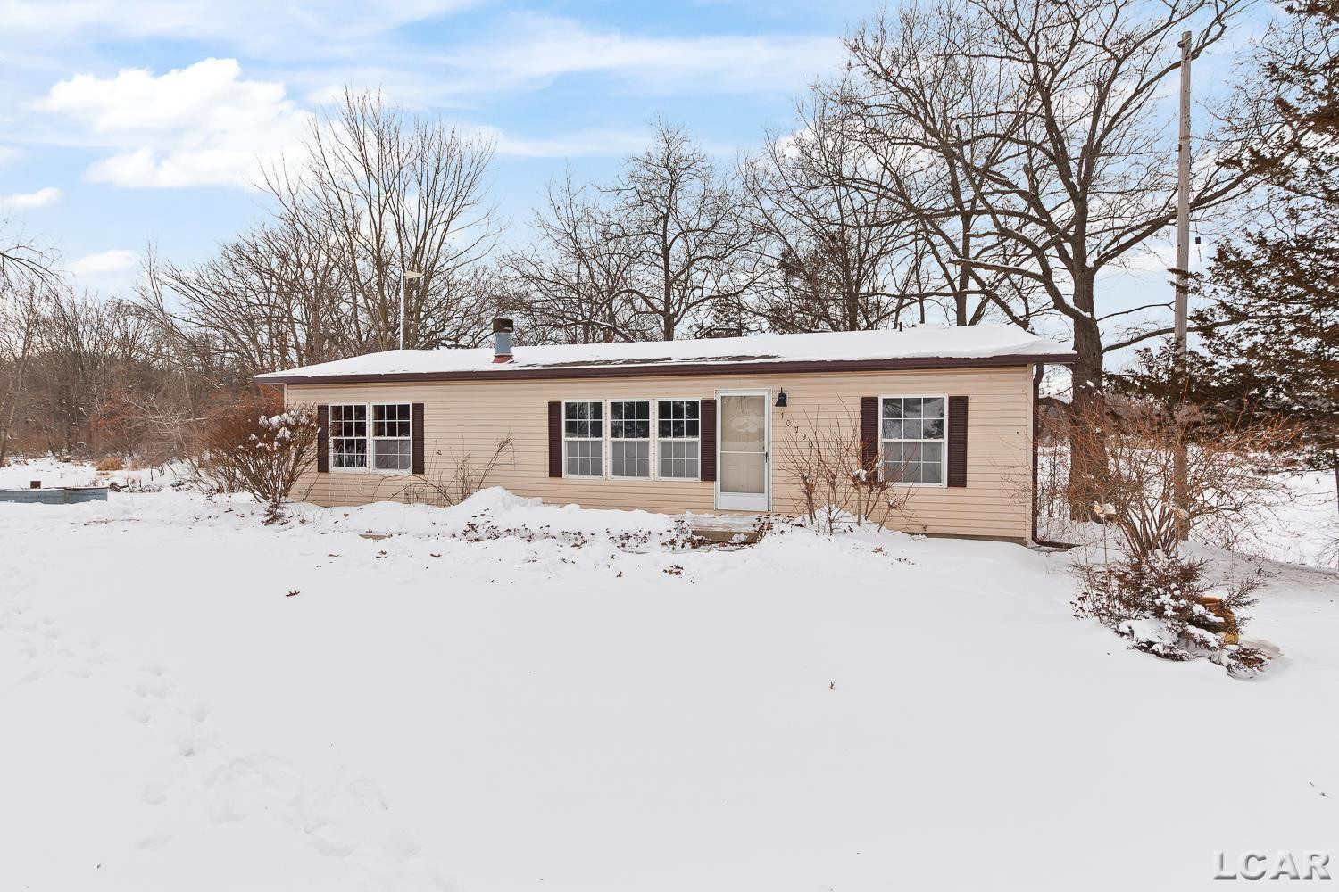 10790 Lawrence Road, Brooklyn, MI 49230 — Photo 3