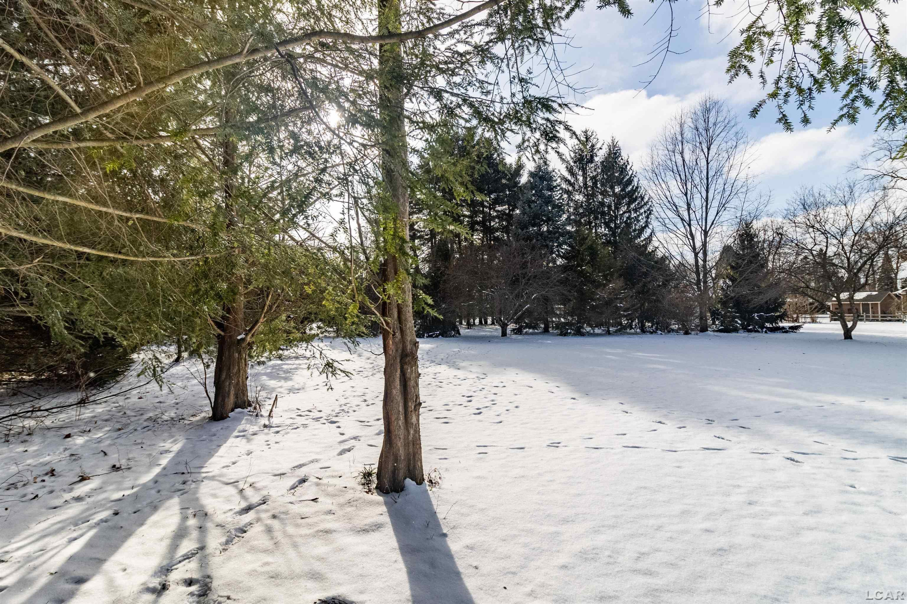 2697 Spielman Road, Adrian, MI 49221 — Photo 53