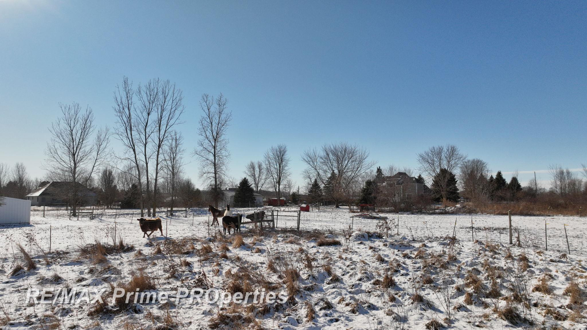 2056 N Duffield Road, Flushing, MI 48433 — Photo 20