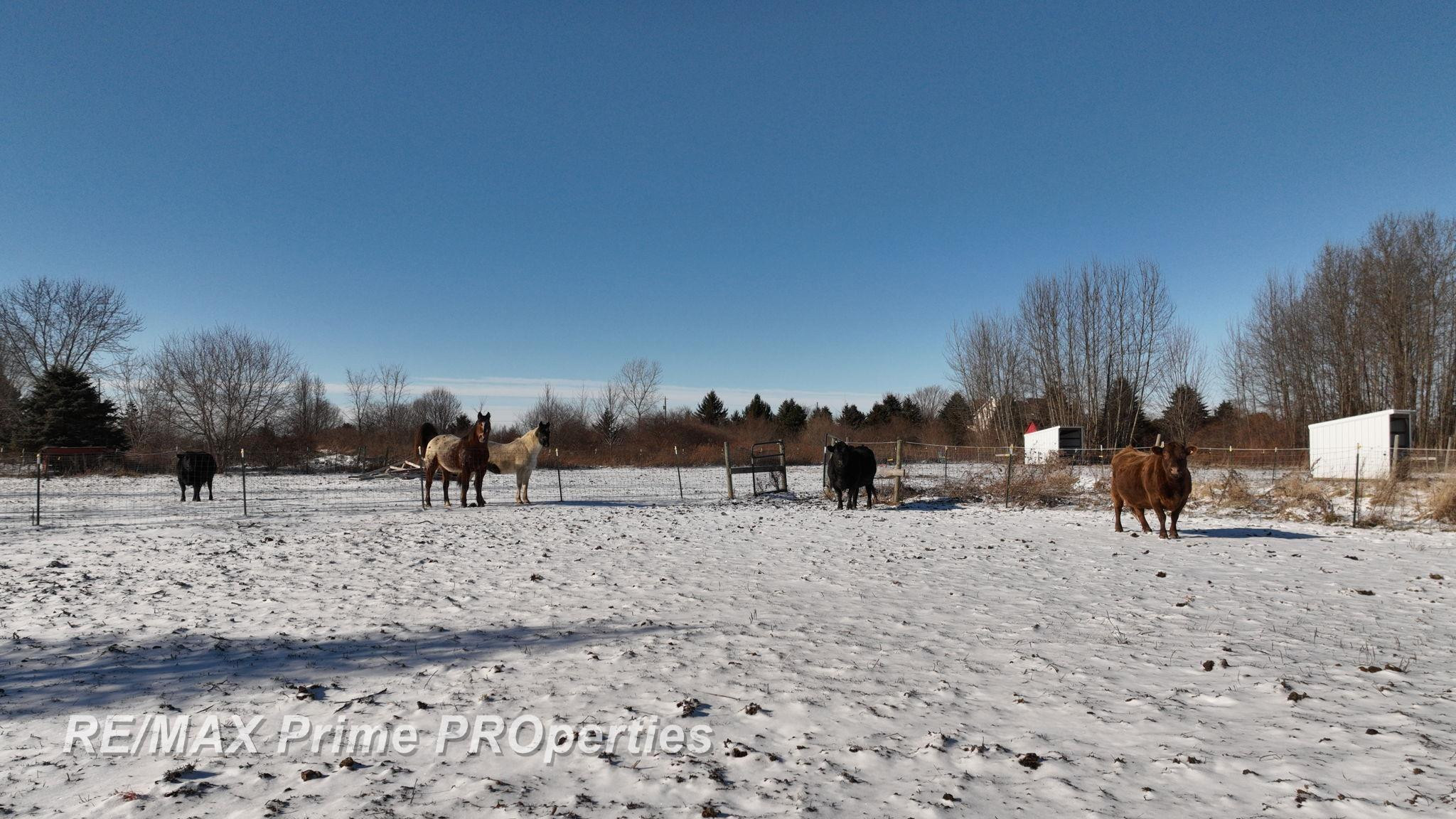 2056 N Duffield Road, Flushing, MI 48433 — Photo 22
