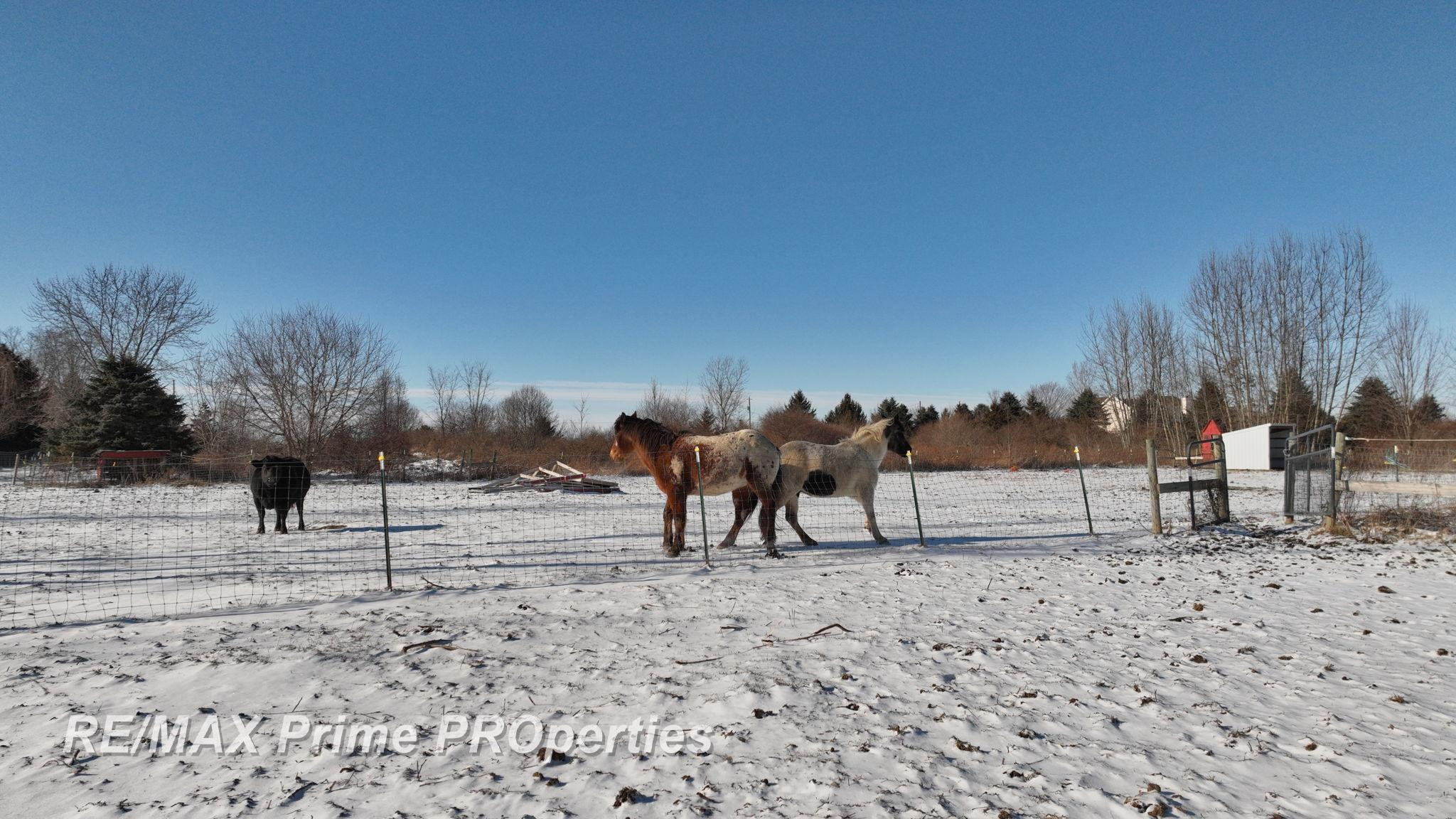 2056 N Duffield Road, Flushing, MI 48433 — Photo 24