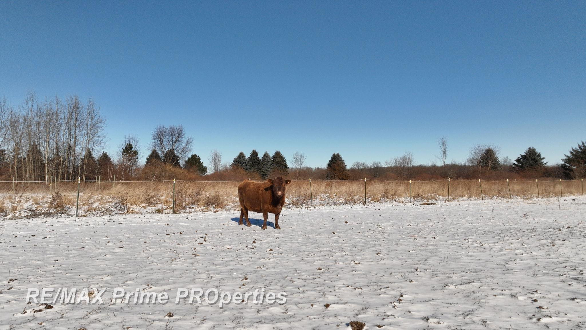 2056 N Duffield Road, Flushing, MI 48433 — Photo 25