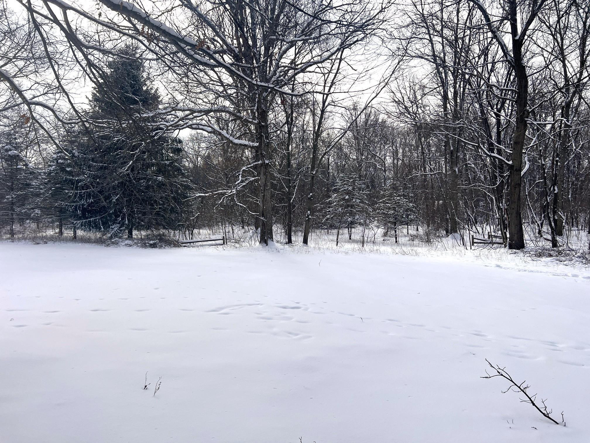 4751 Bath Road, Perry, MI 48872 — Photo 23