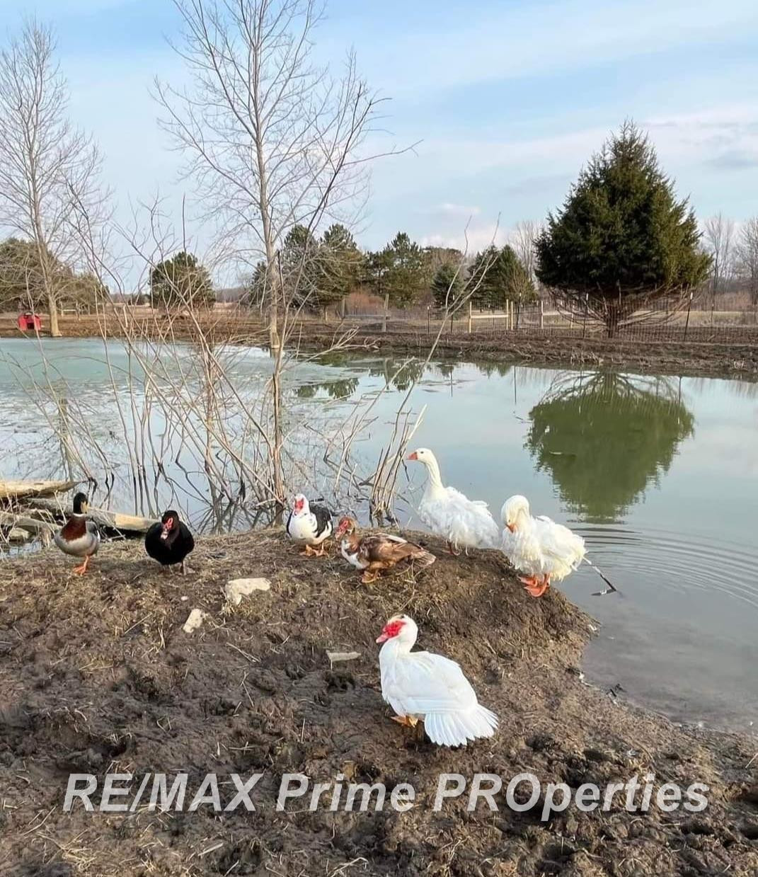 2056 N Duffield Road, Flushing, MI 48433 — Photo 82