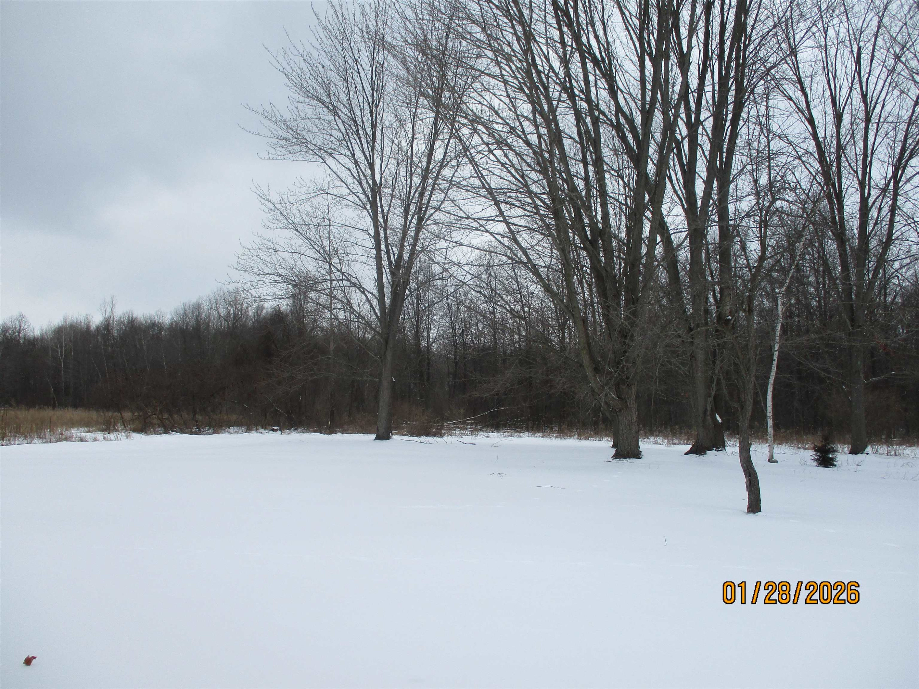12510 Sheridan Road, Burt, MI 48417 — Photo 18