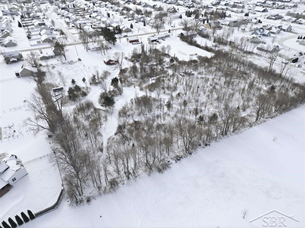 10138 Scott Road, Freeland, MI 48623 — Photo 10