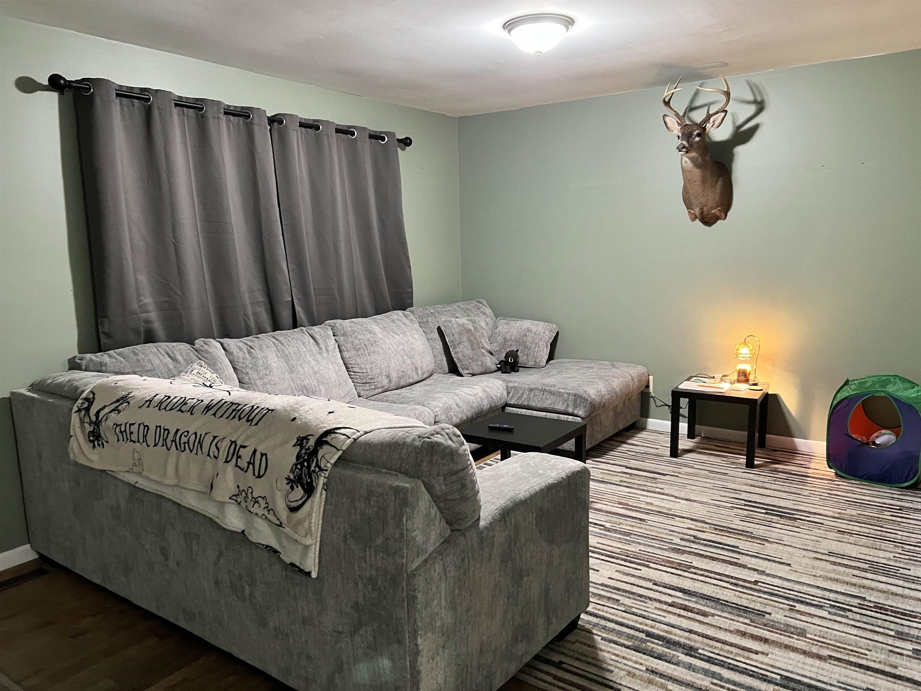 12395 S M 52 Road, Perry, MI 48872 — Photo 4