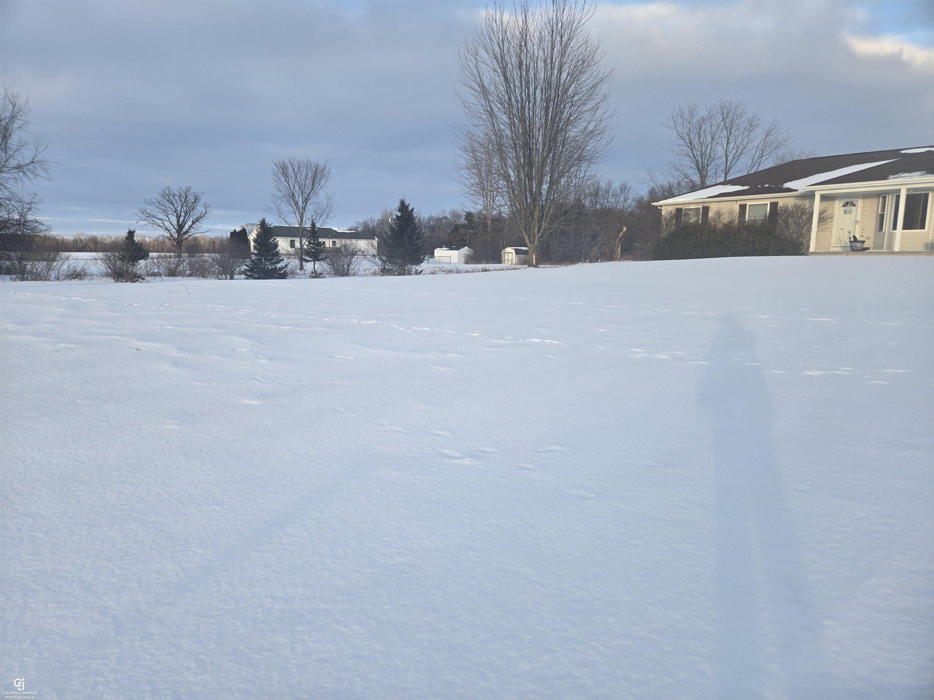 6458 Owens Road, Yale, MI 48097 — Photo 22