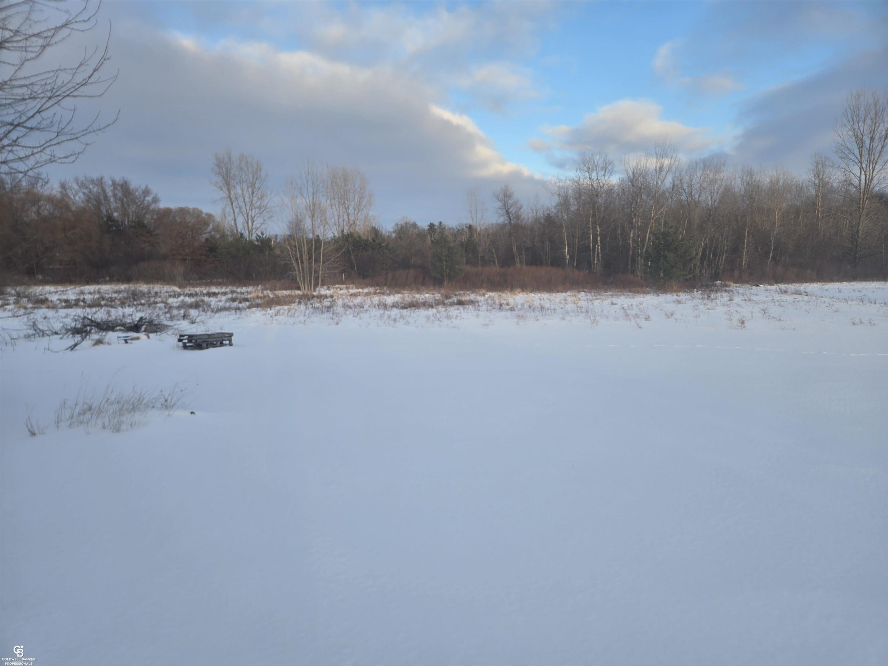 6458 Owens Road, Yale, MI 48097 — Photo 24