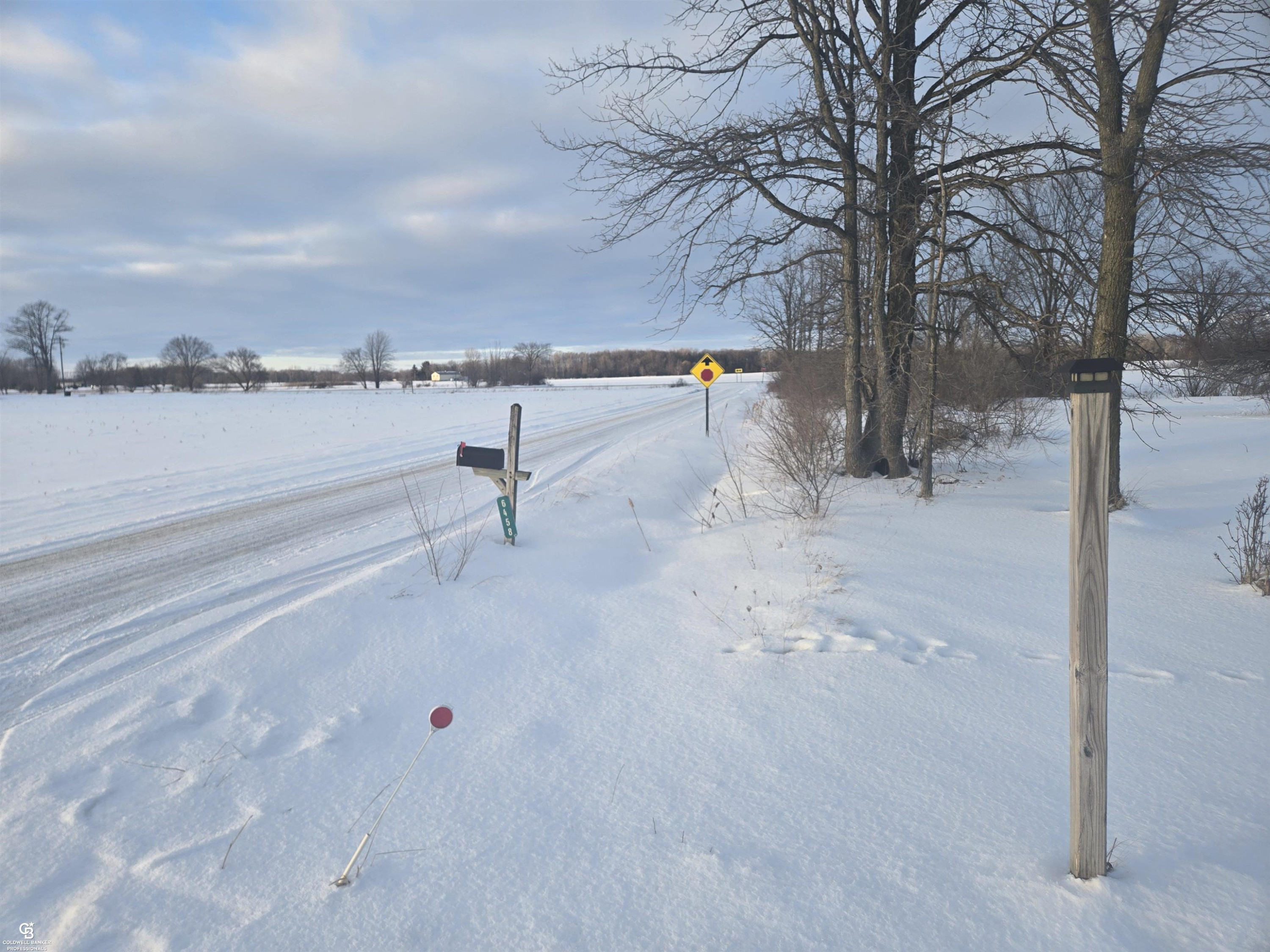 6458 Owens Road, Yale, MI 48097 — Photo 26