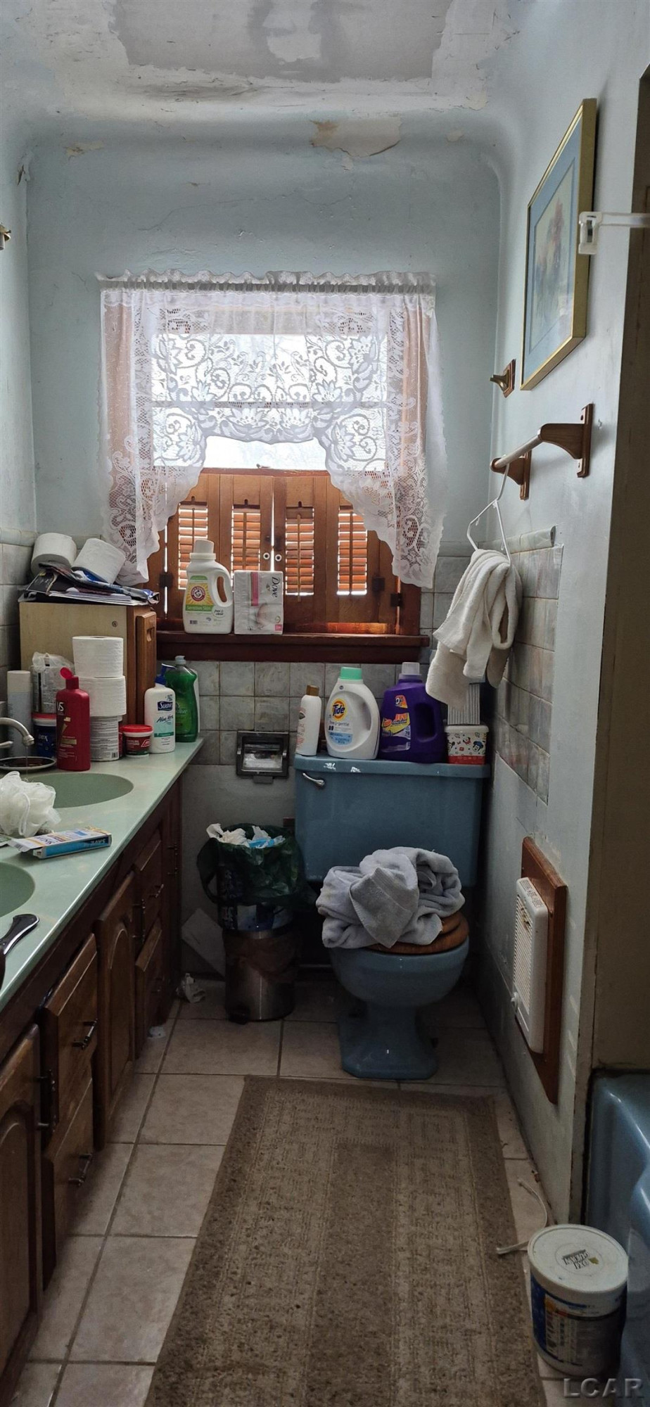 149 Petersburg Road, Petersburg, MI 49270 — Photo 4
