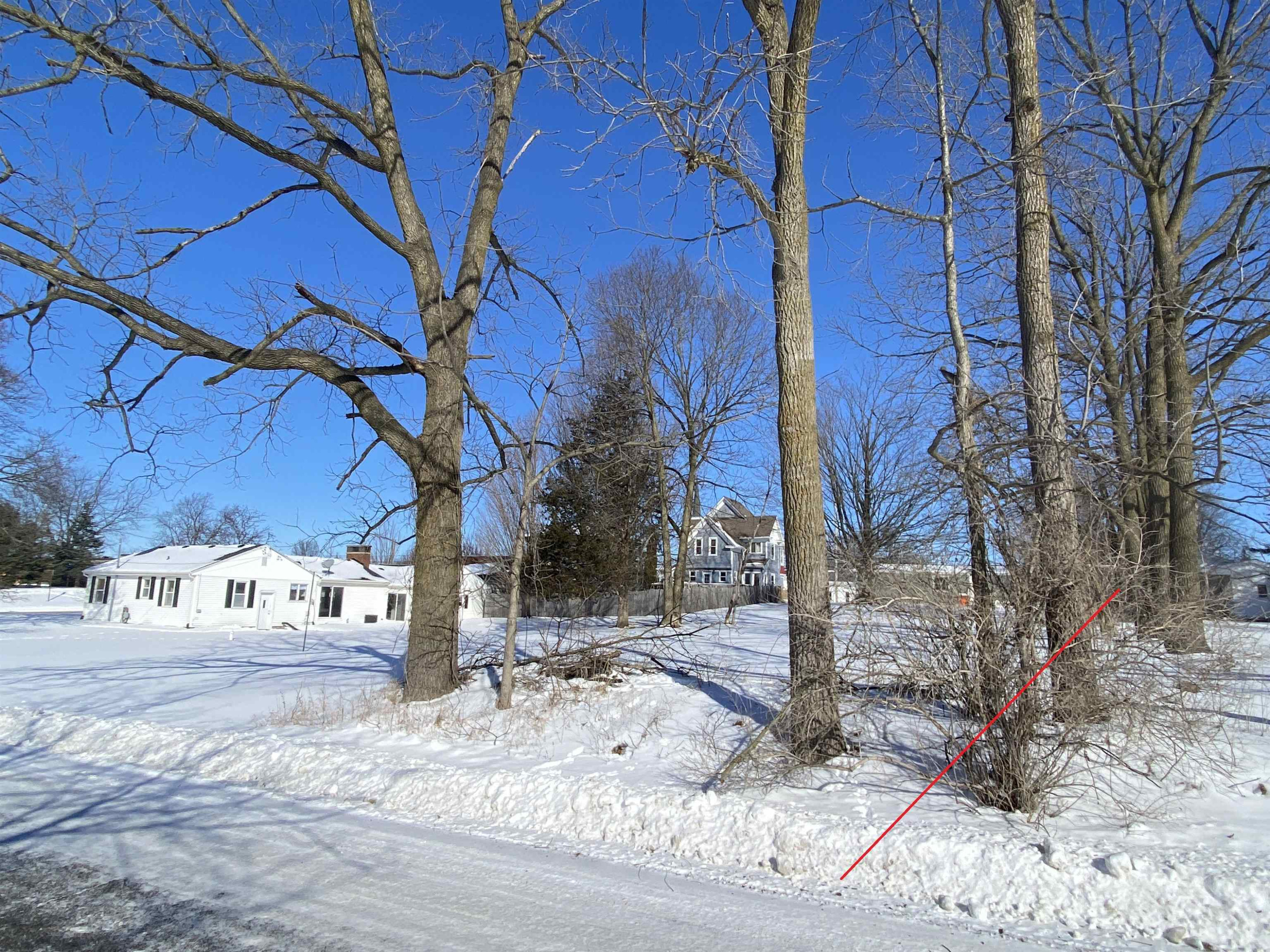 107 High Street, Laingsburg, MI 48848 — Photo 5