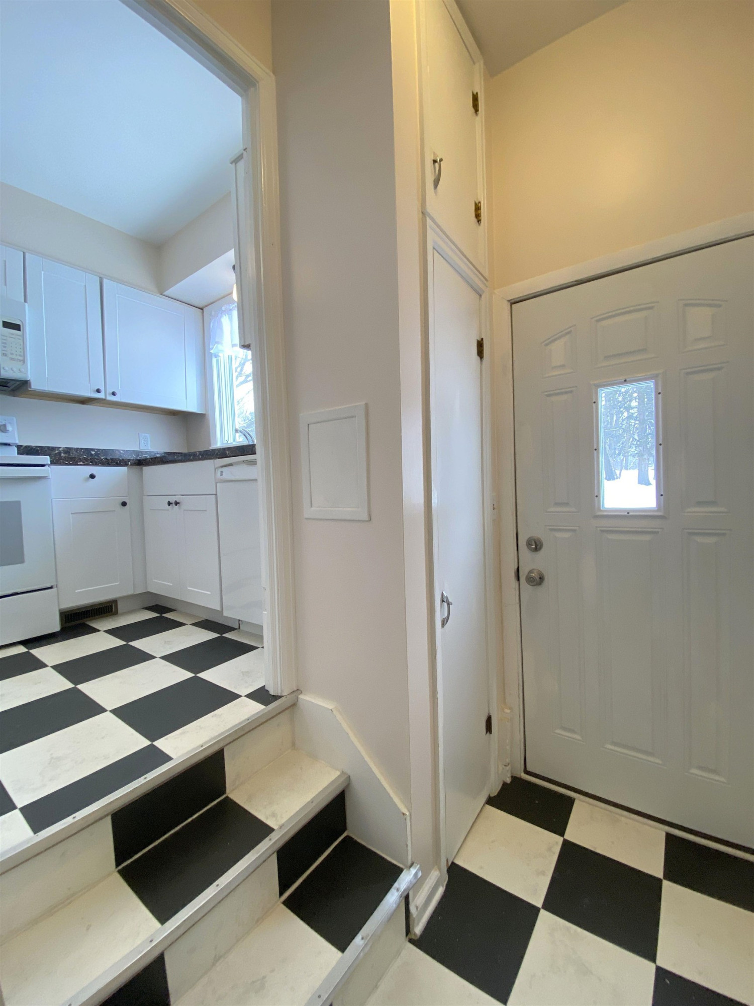 107 High Street, Laingsburg, MI 48848 — Photo 18