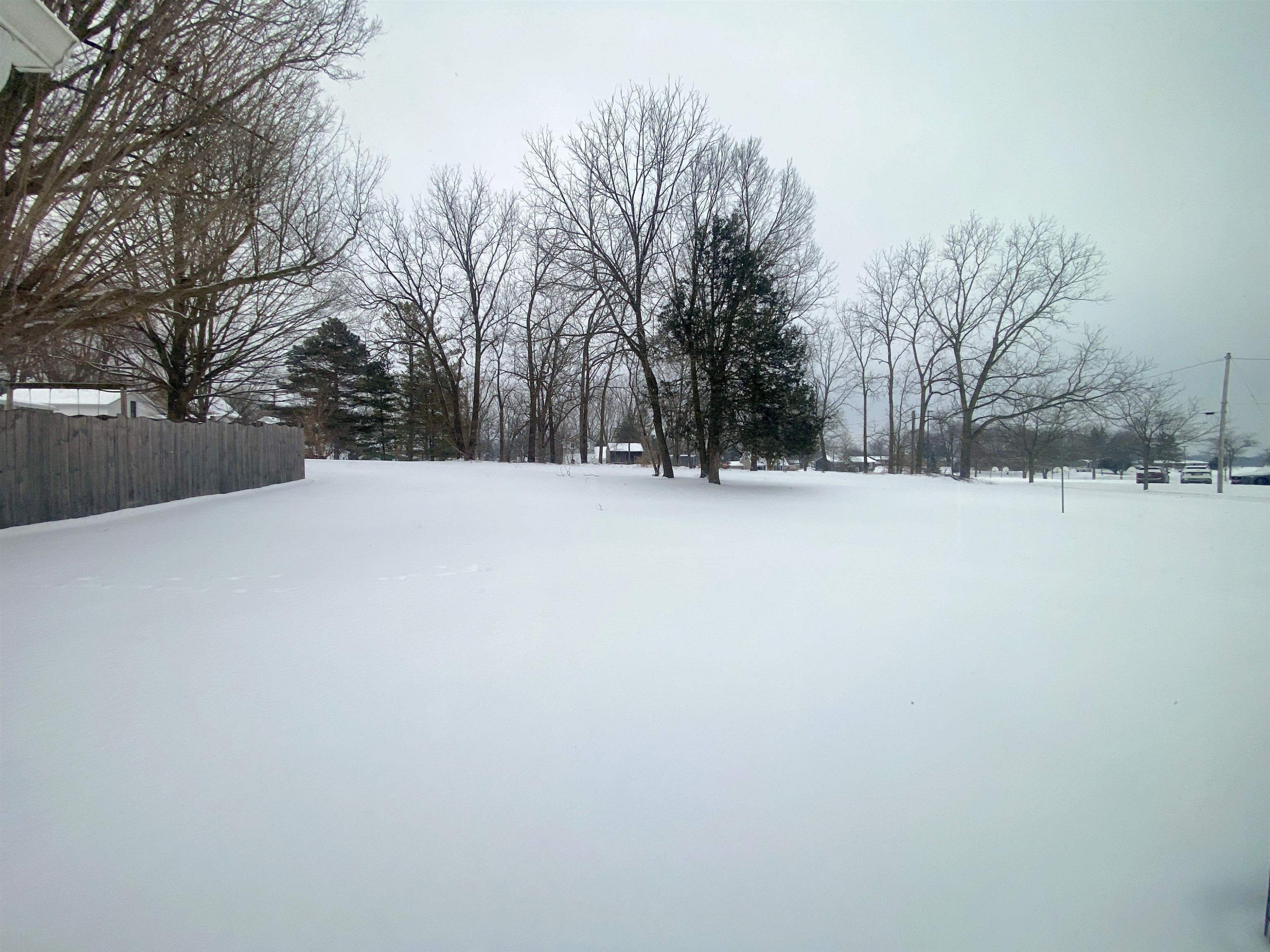 107 High Street, Laingsburg, MI 48848 — Photo 19
