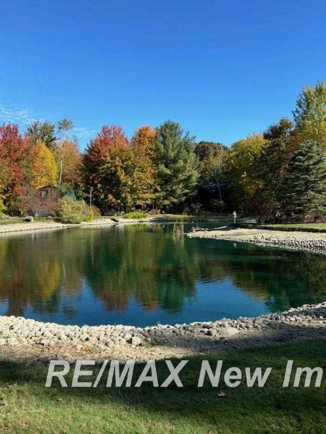 13715 Baldwin Road, Chesaning, MI 48616 — Photo 75