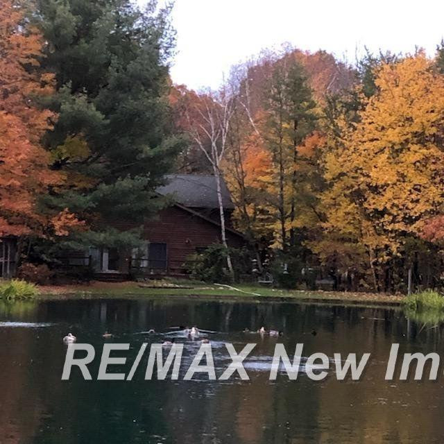 13715 Baldwin Road, Chesaning, MI 48616 — Photo 76