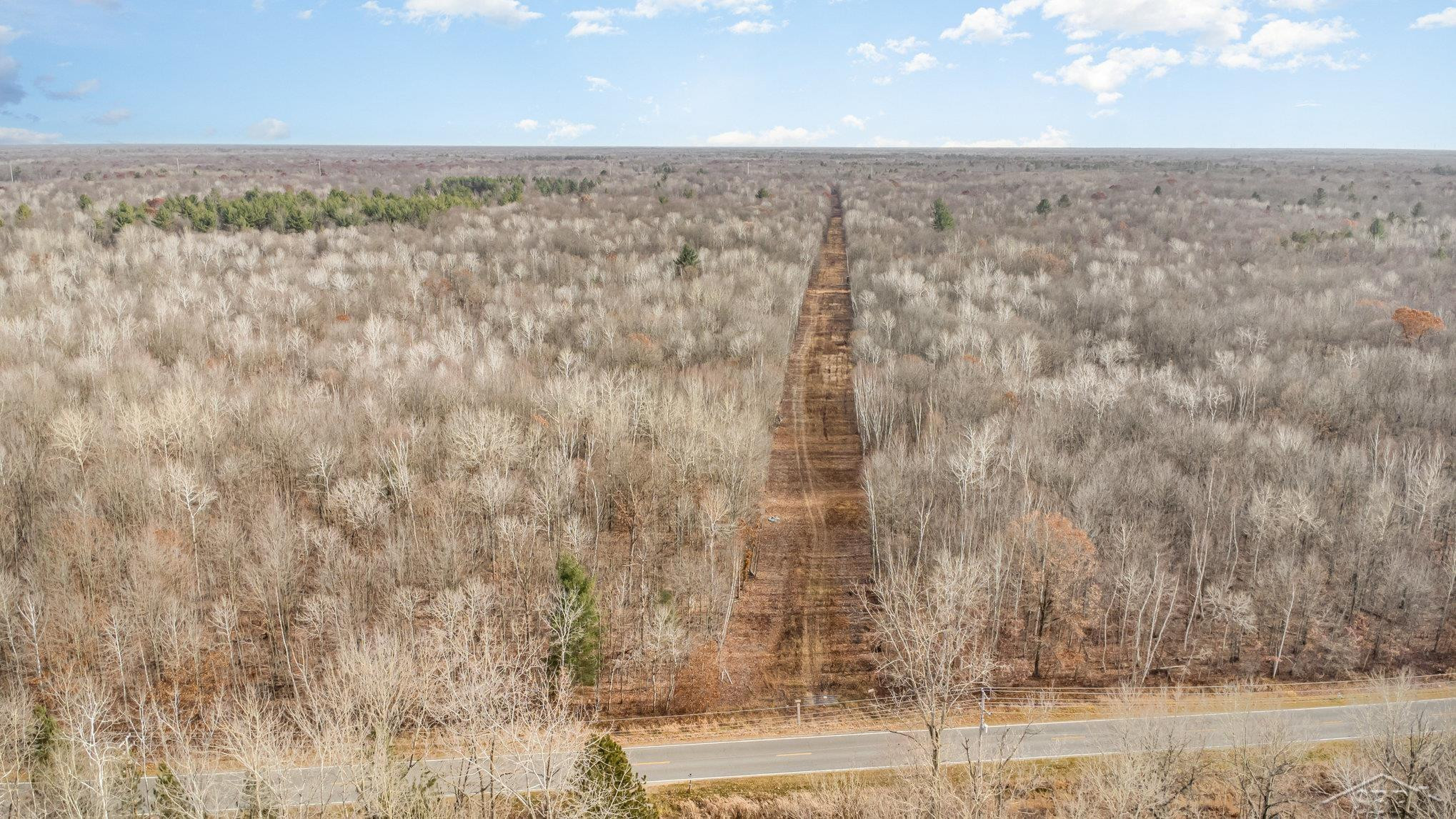 S County Line Road, Shepherd, MI 48883 — Photo 2