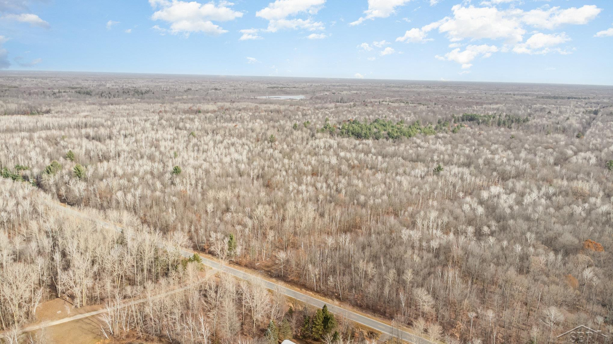 S County Line Road, Shepherd, MI 48883 — Photo 3