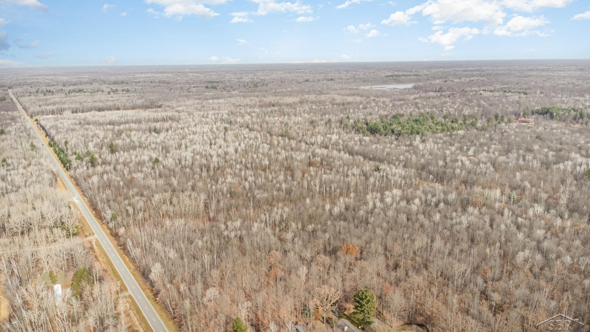 S County Line Road, Shepherd, MI 48883 — Photo 4
