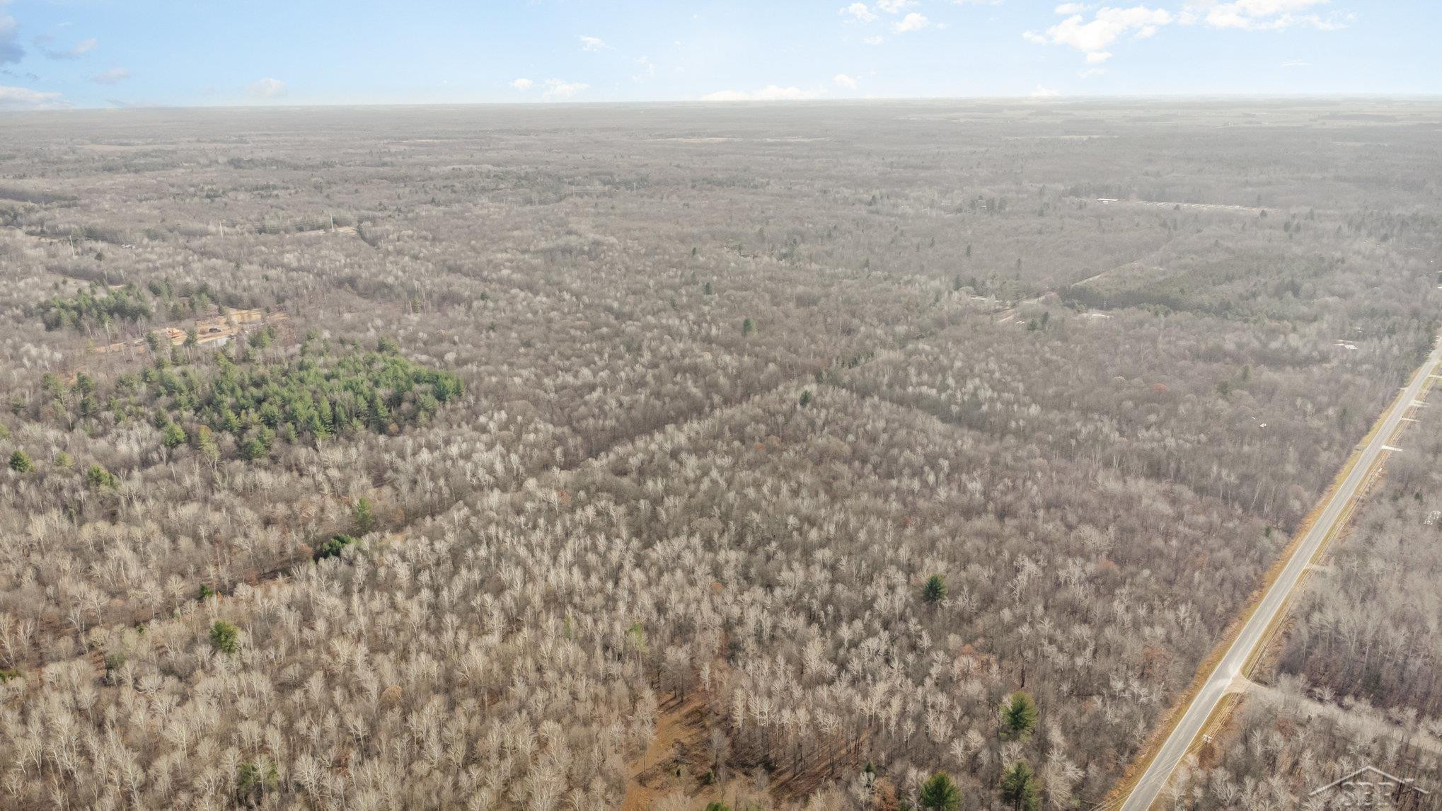 S County Line Road, Shepherd, MI 48883 — Photo 10