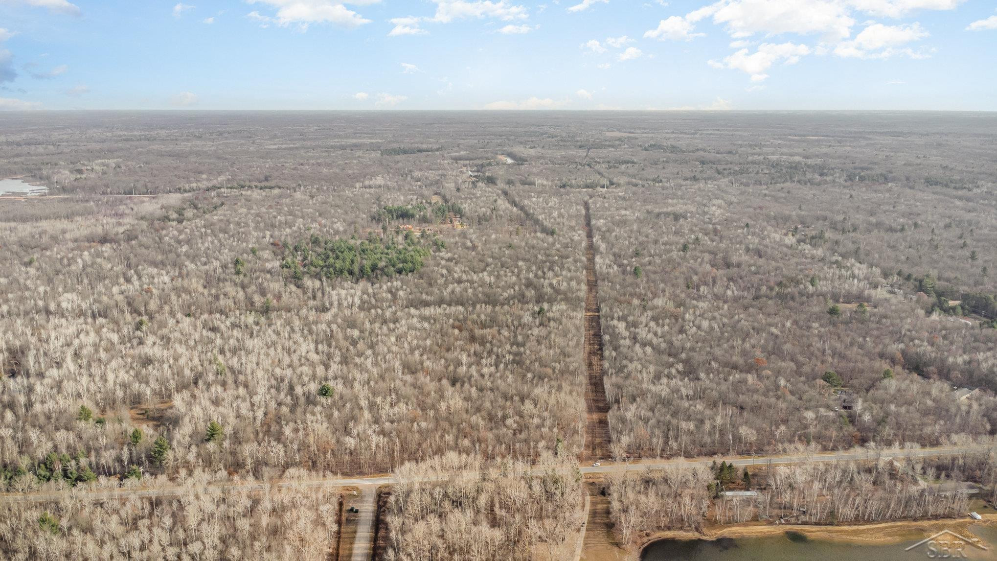 S County Line Road, Shepherd, MI 48883 — Photo 11