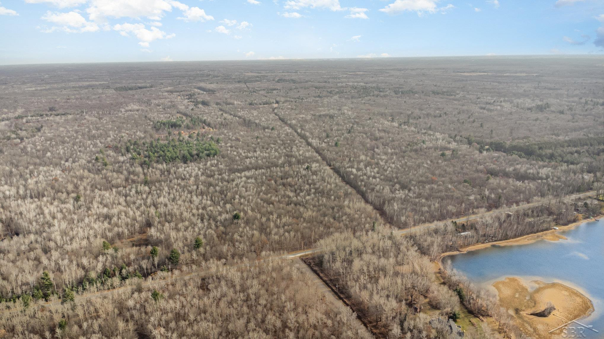 S County Line Road, Shepherd, MI 48883 — Photo 12