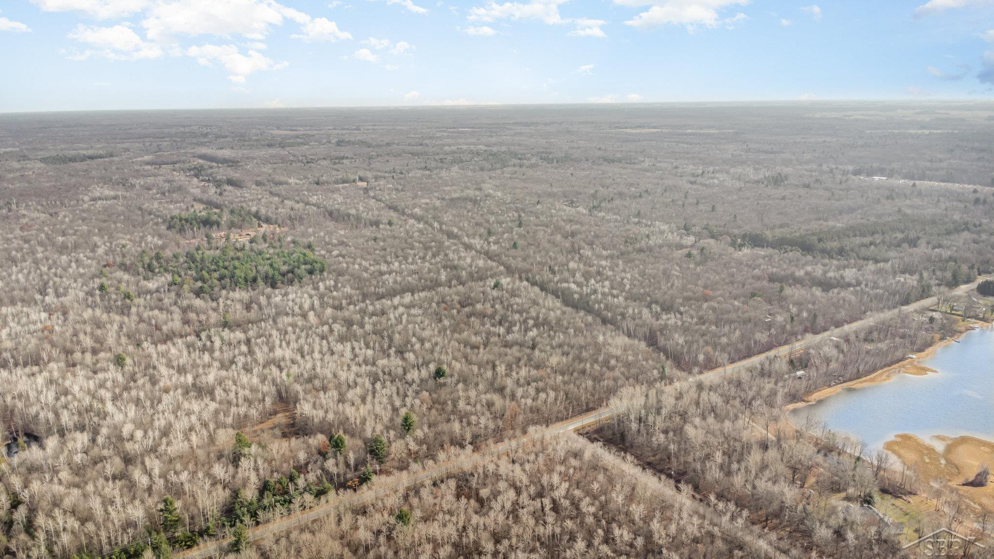 S County Line Road, Shepherd, MI 48883 — Photo 13