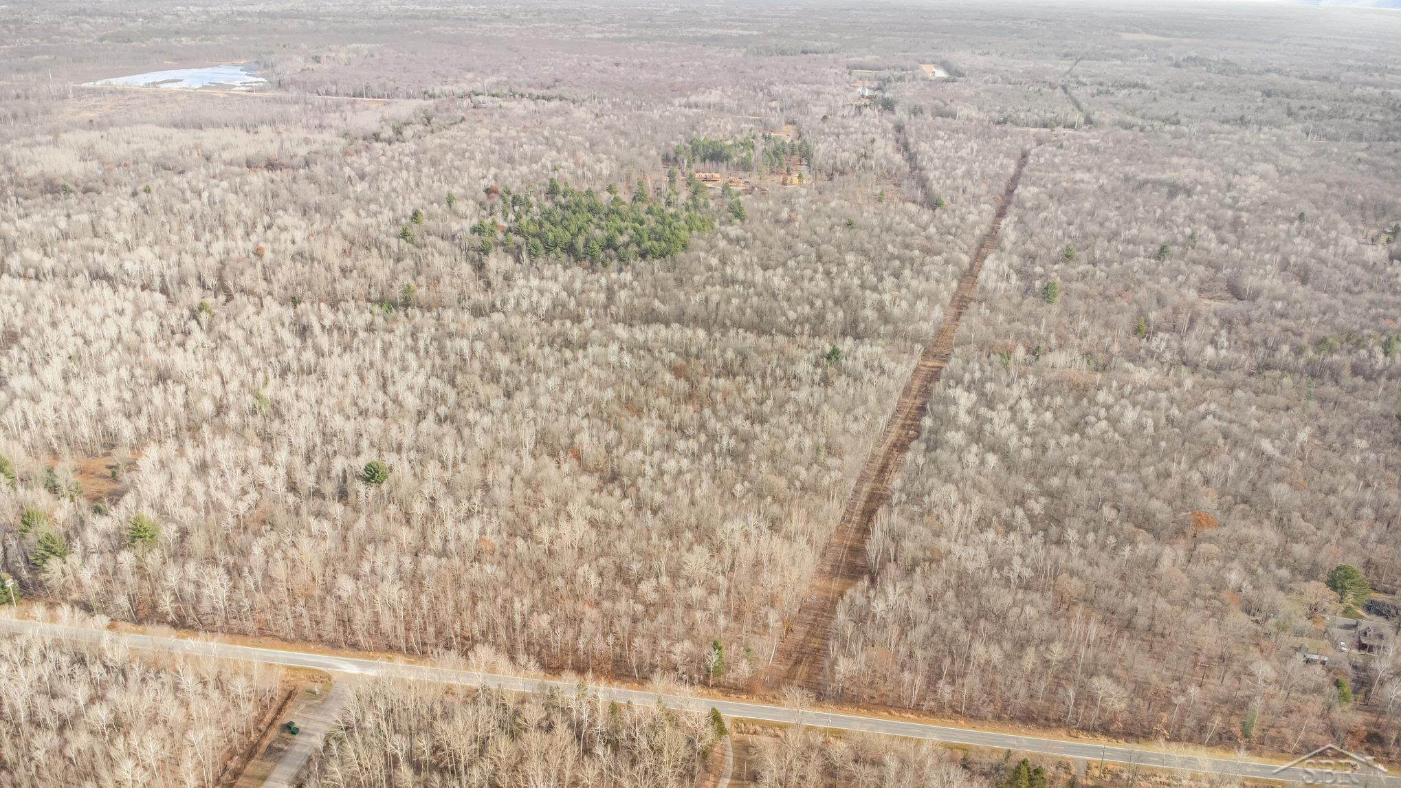 S County Line Road, Shepherd, MI 48883 — Photo 15
