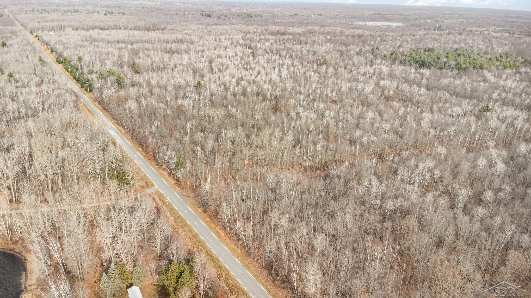 S County Line Road, Shepherd, MI 48883 — Photo 16