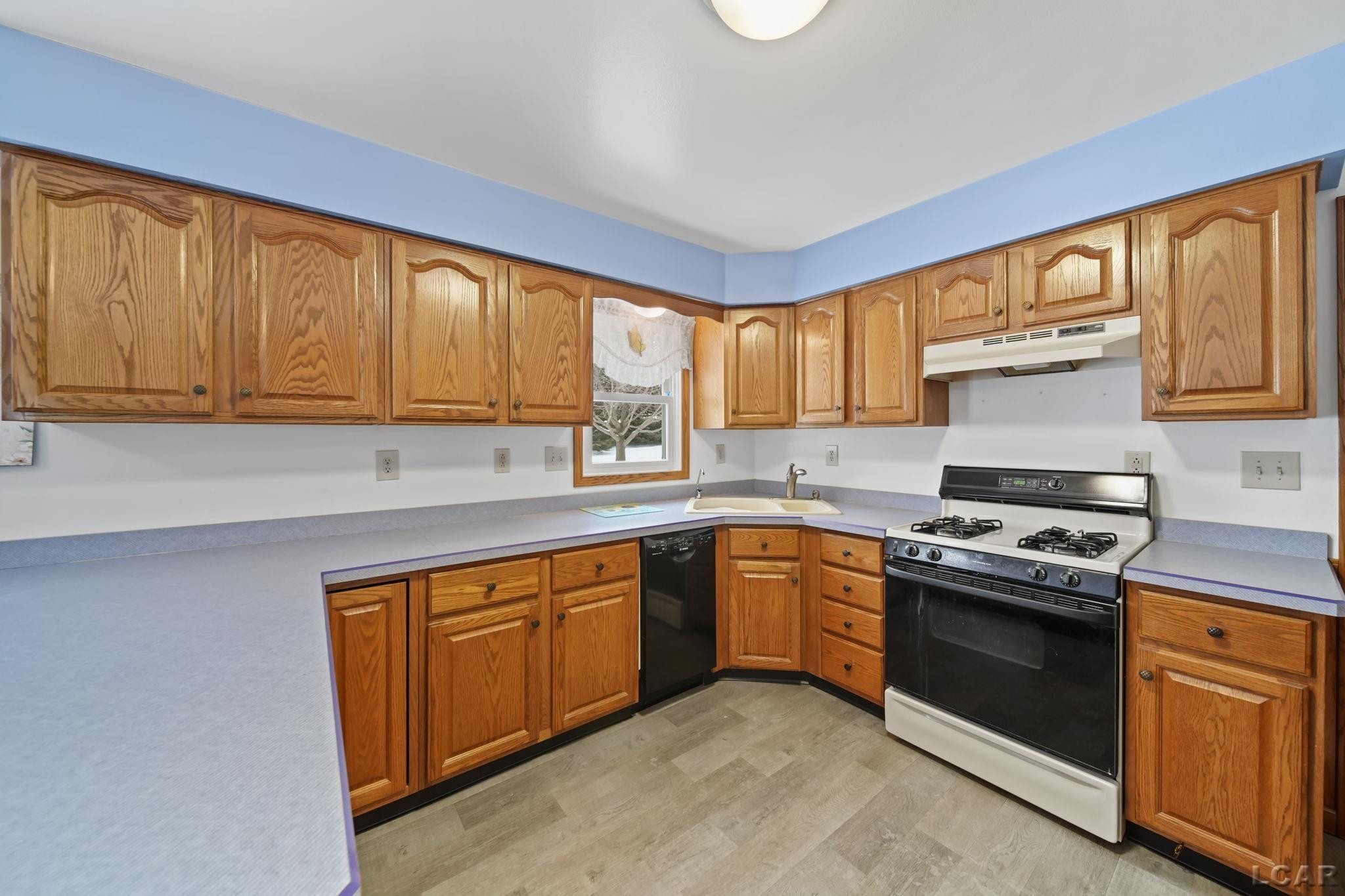 3163 Birch Run, Adrian, MI 49221 — Photo 10