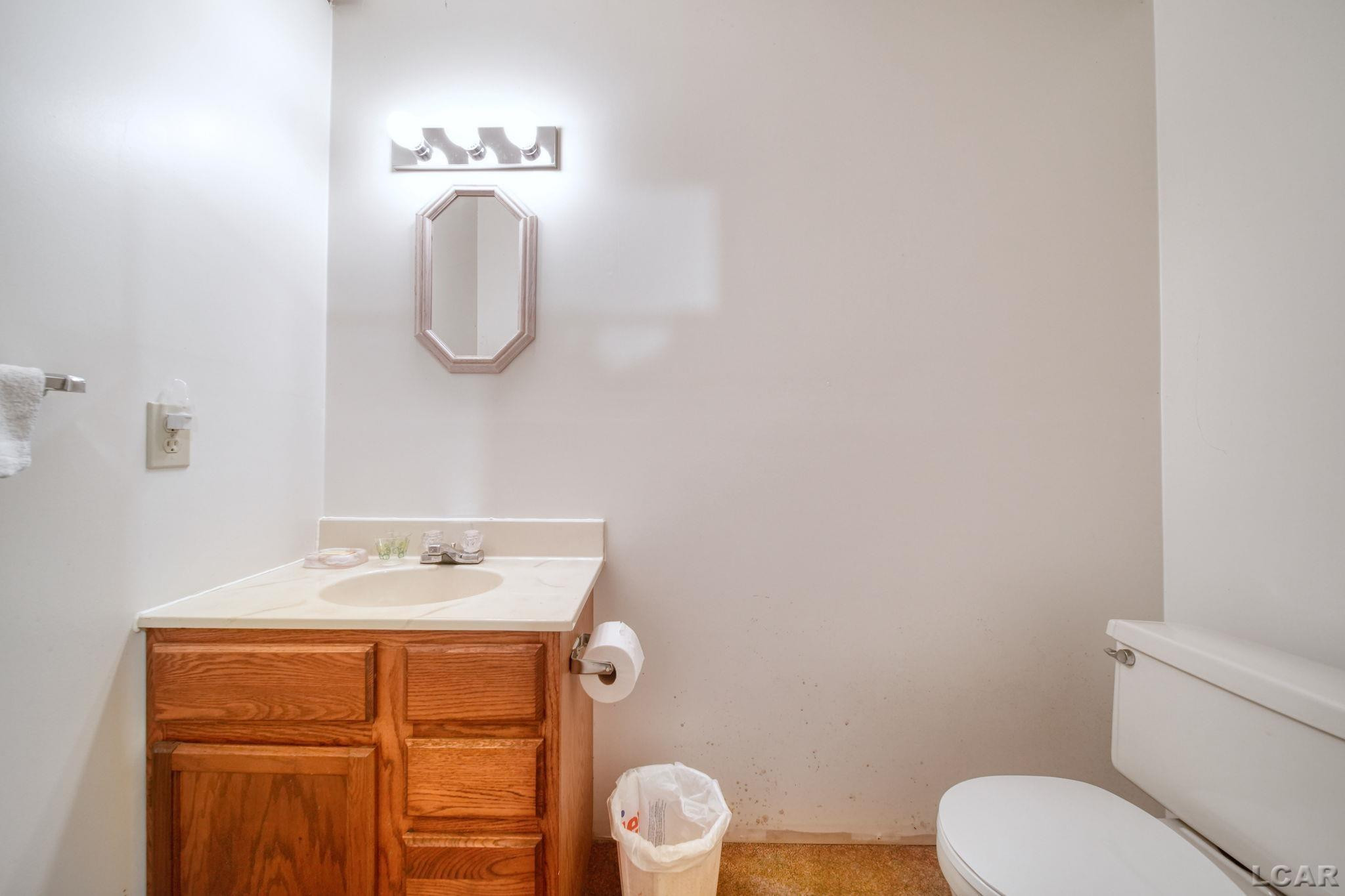 3163 Birch Run, Adrian, MI 49221 — Photo 32