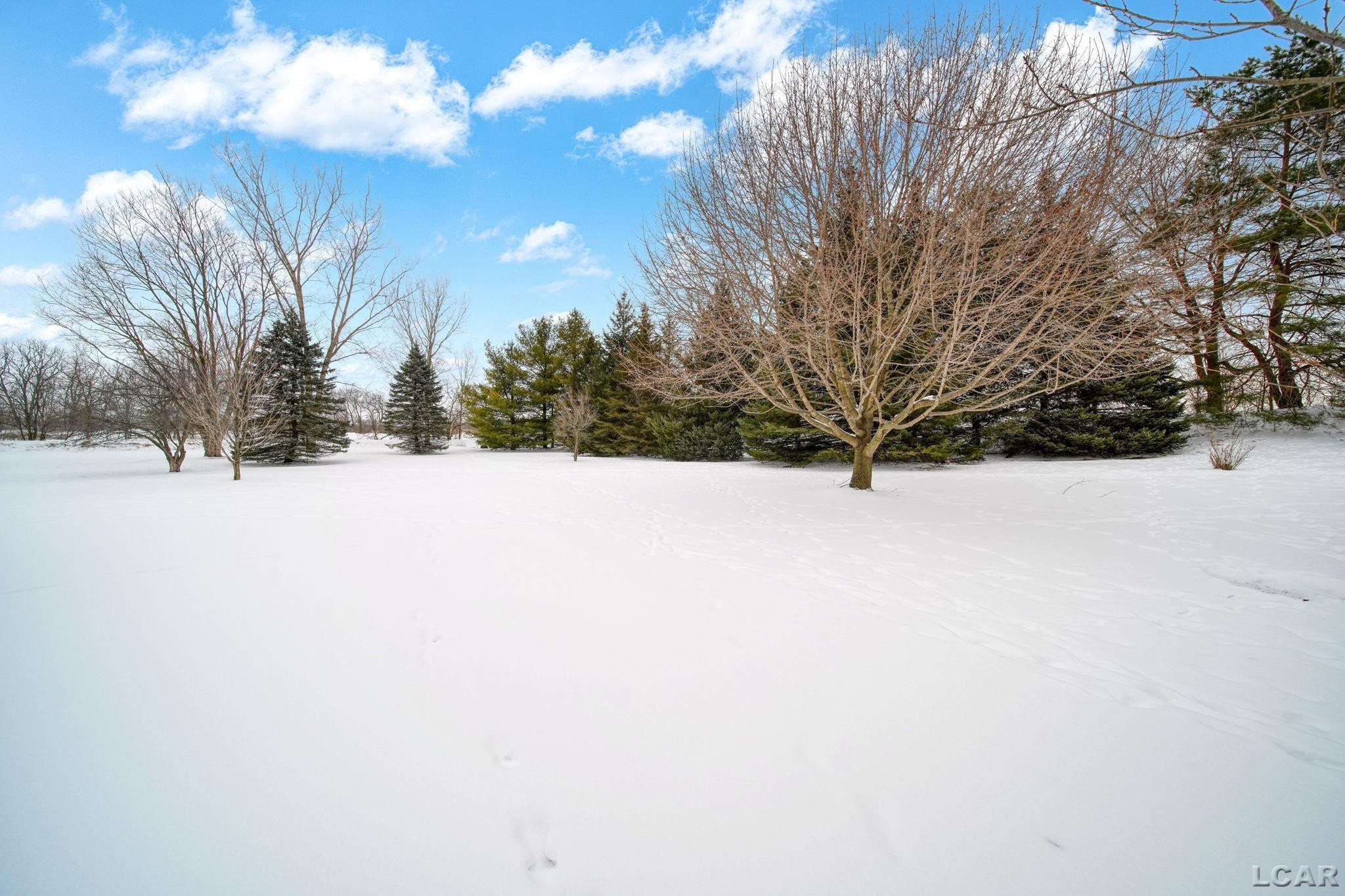 3163 Birch Run, Adrian, MI 49221 — Photo 36
