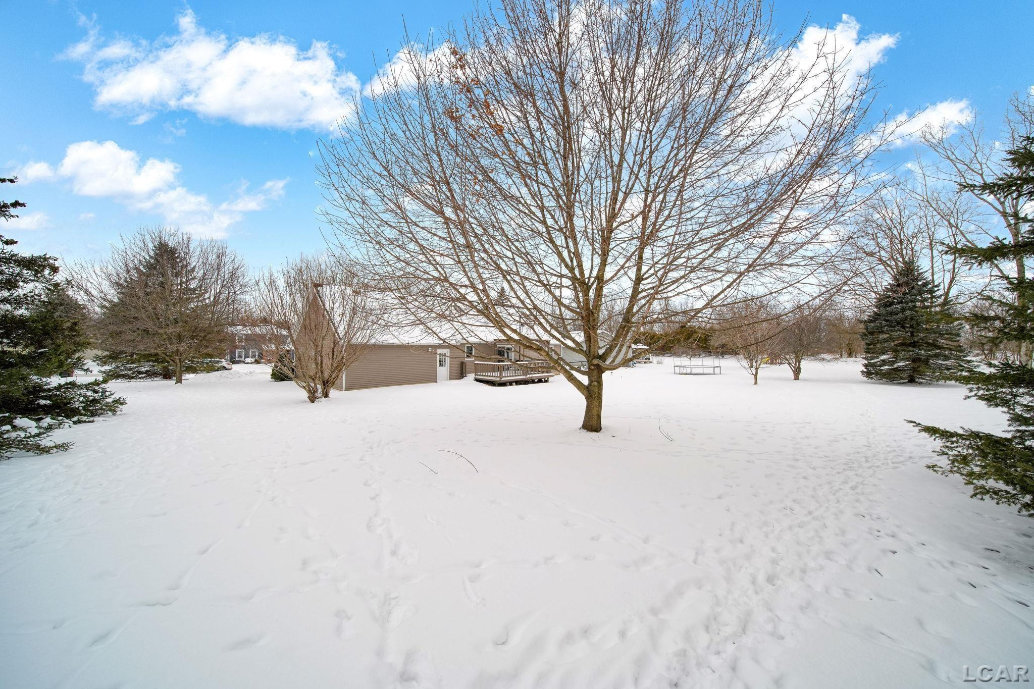 3163 Birch Run, Adrian, MI 49221 — Photo 37
