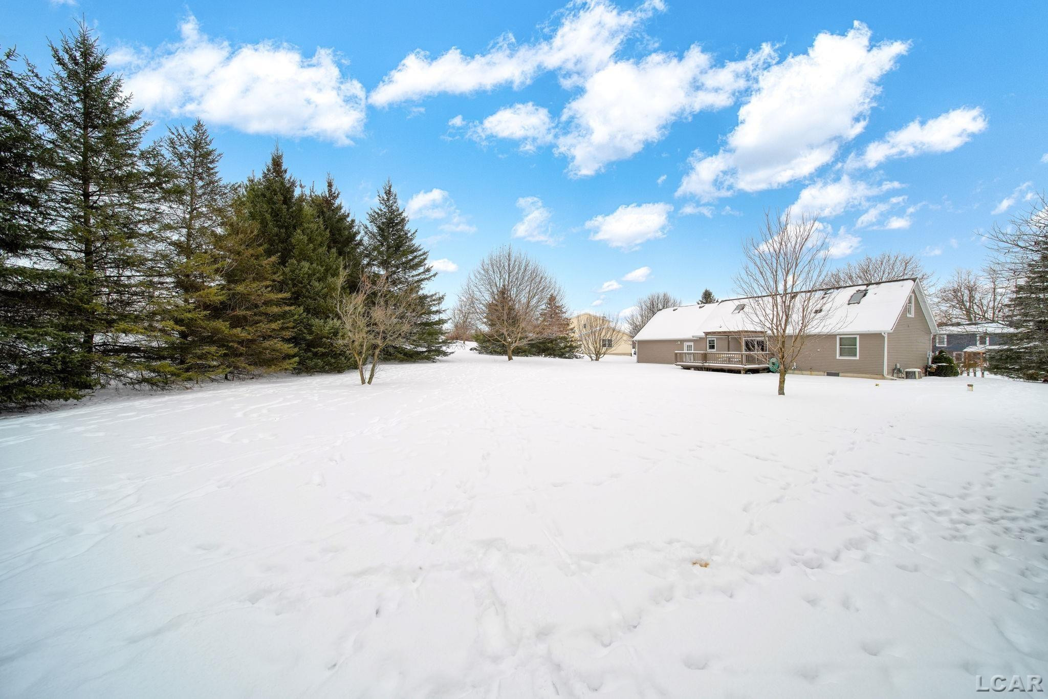 3163 Birch Run, Adrian, MI 49221 — Photo 38