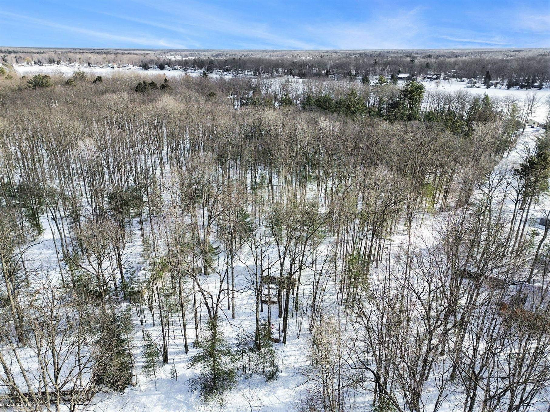4875 Loos Avenue, Hale, MI 48739 — Photo 49