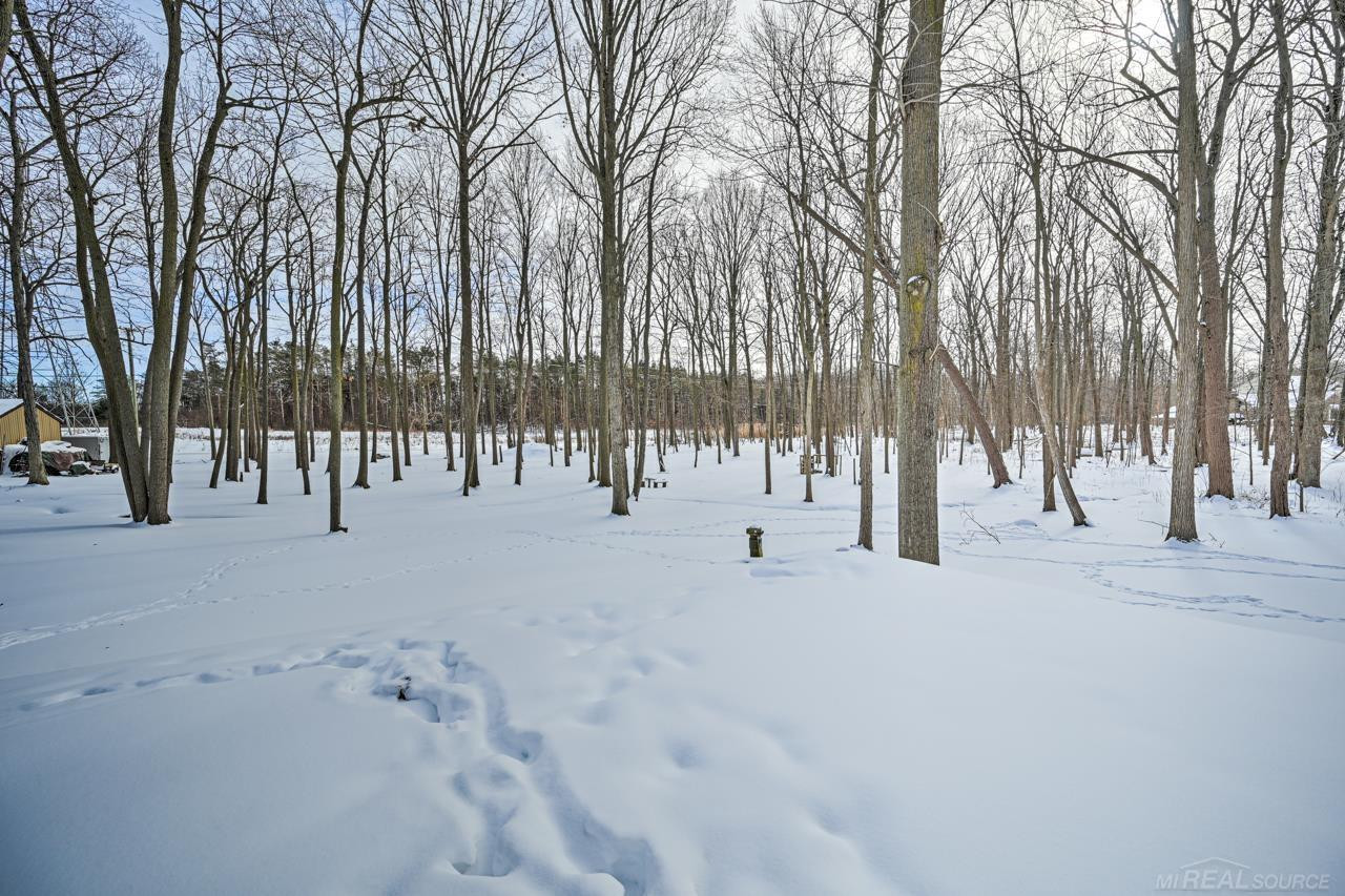 65 Woodside Lane, MI — Photo 48