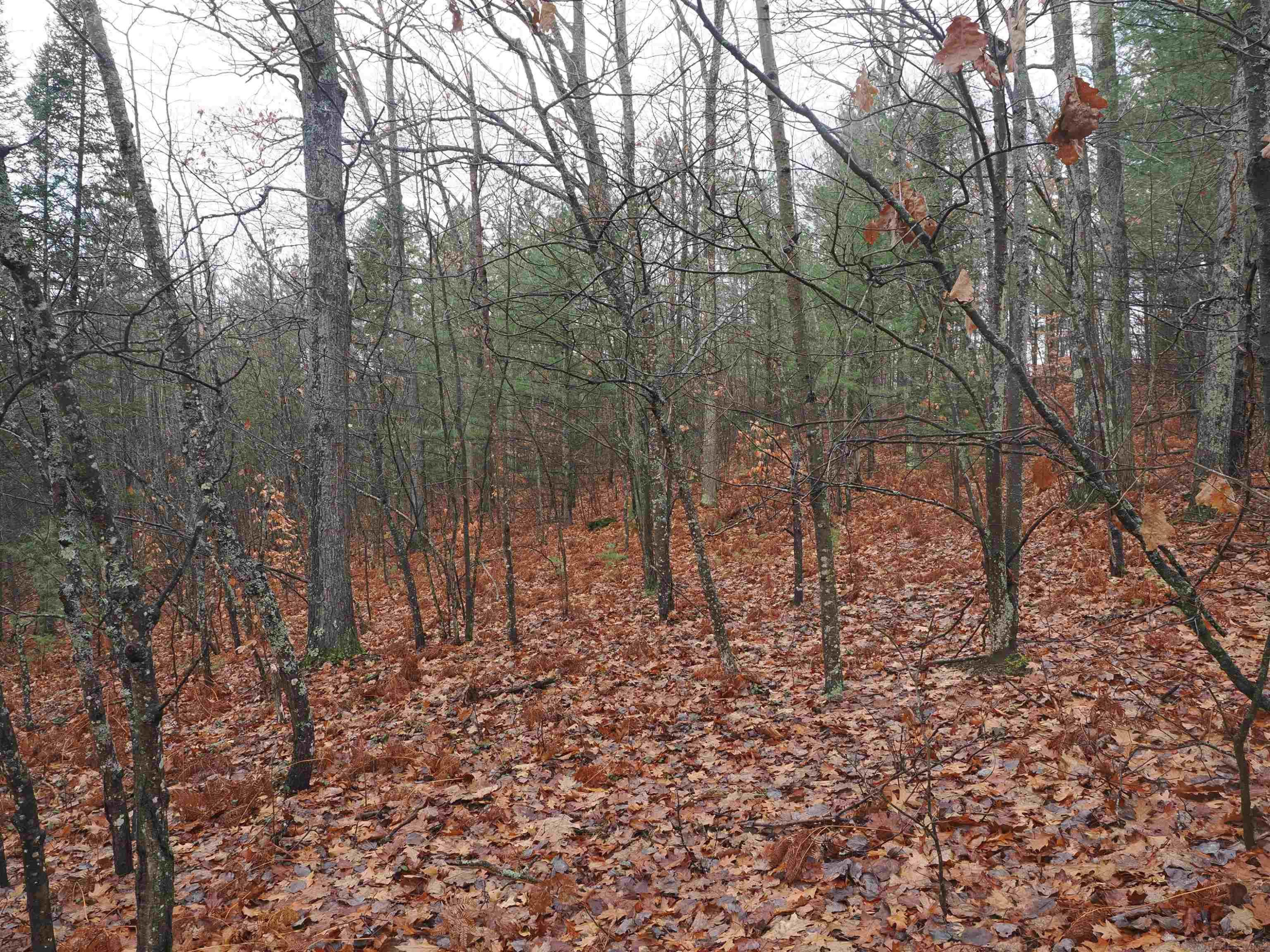 4205 Stoney Creek Road, Afton, MI 49705 — Photo 12