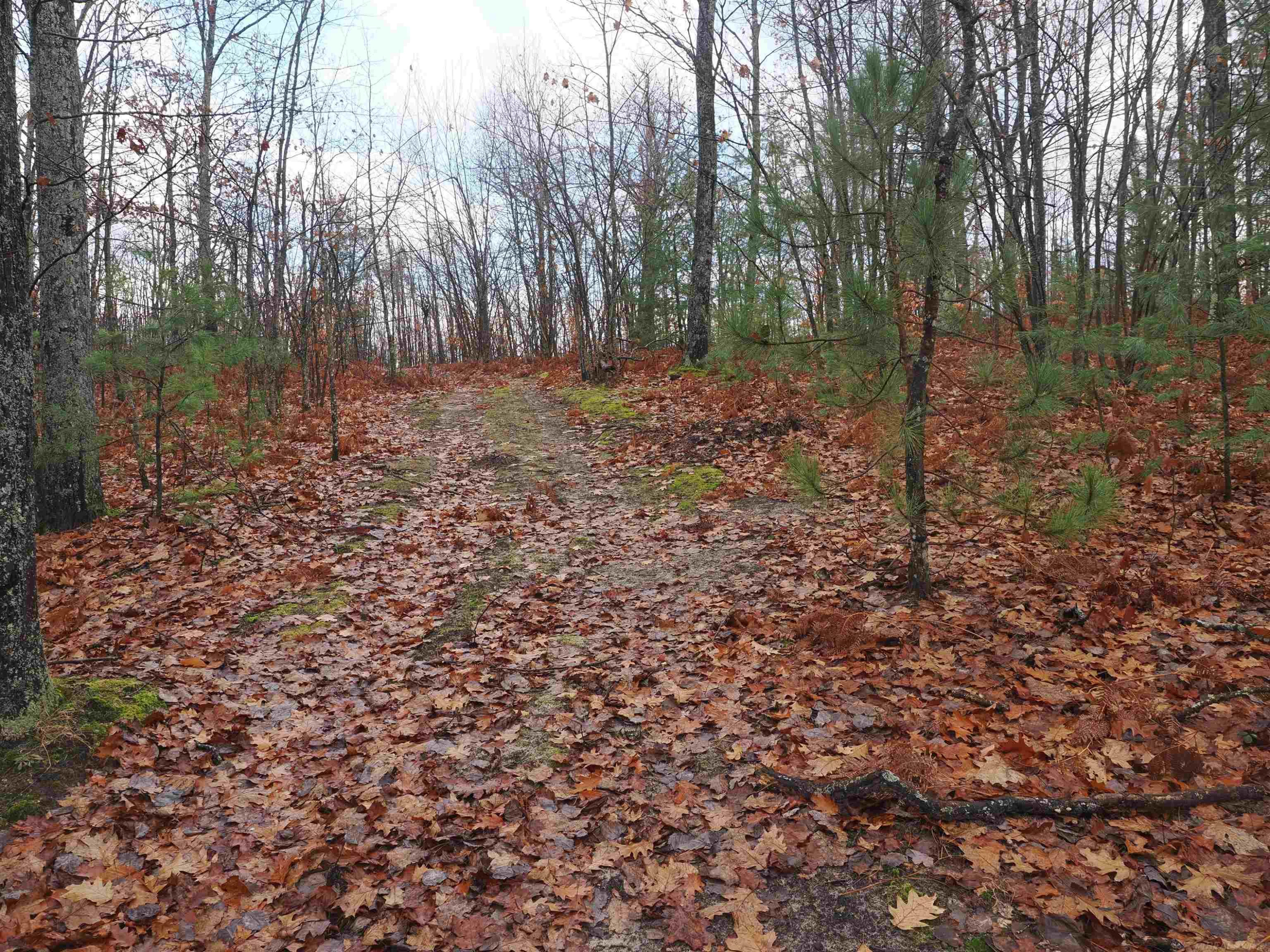 4205 Stoney Creek Road, Afton, MI 49705 — Photo 13