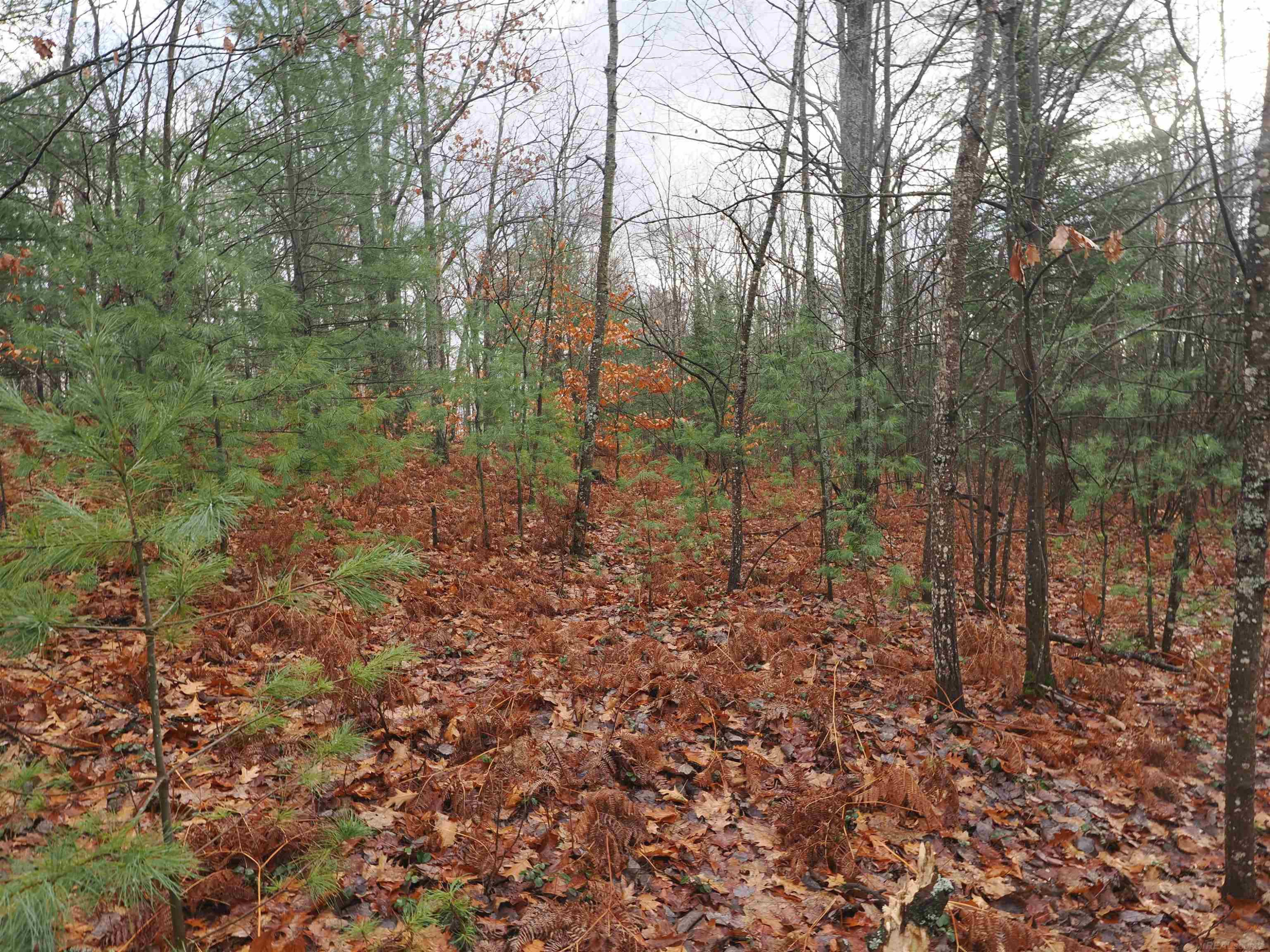 4205 Stoney Creek Road, Afton, MI 49705 — Photo 14