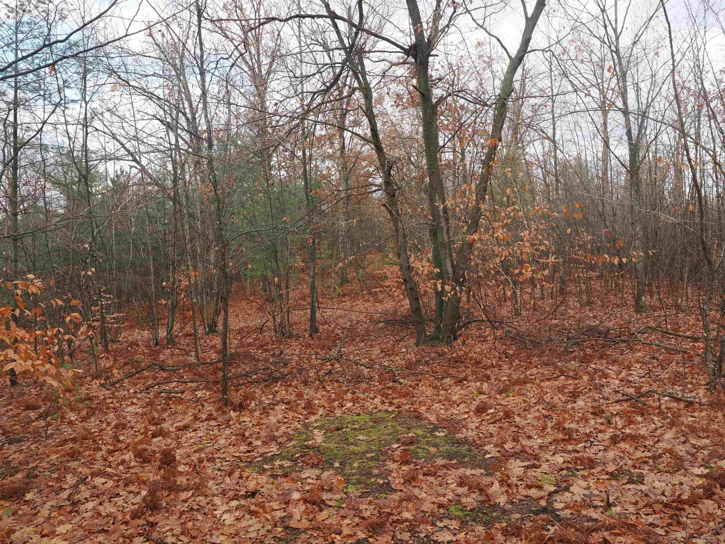 4205 Stoney Creek Road, Afton, MI 49705 — Photo 16