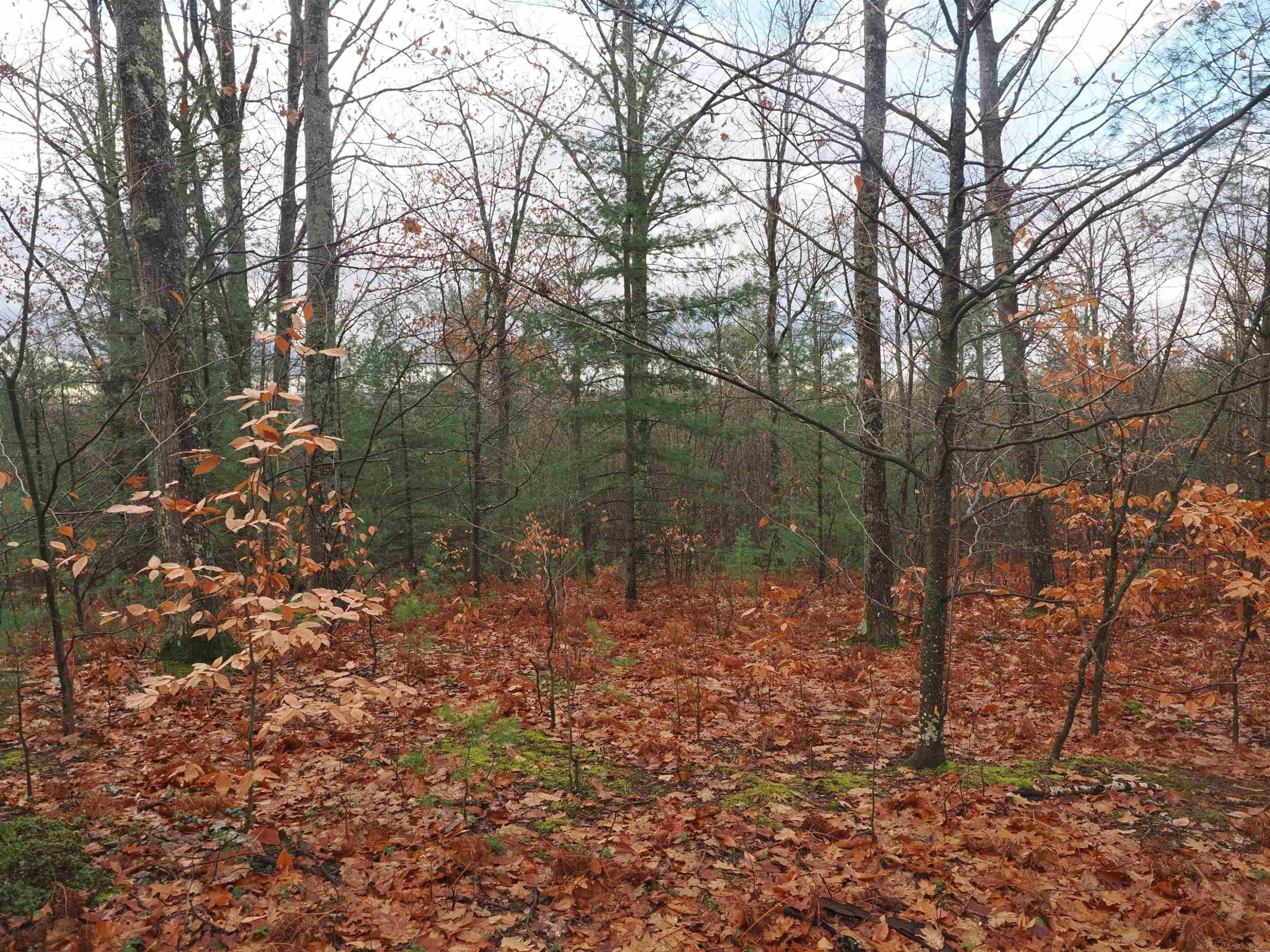 4205 Stoney Creek Road, Afton, MI 49705 — Photo 17