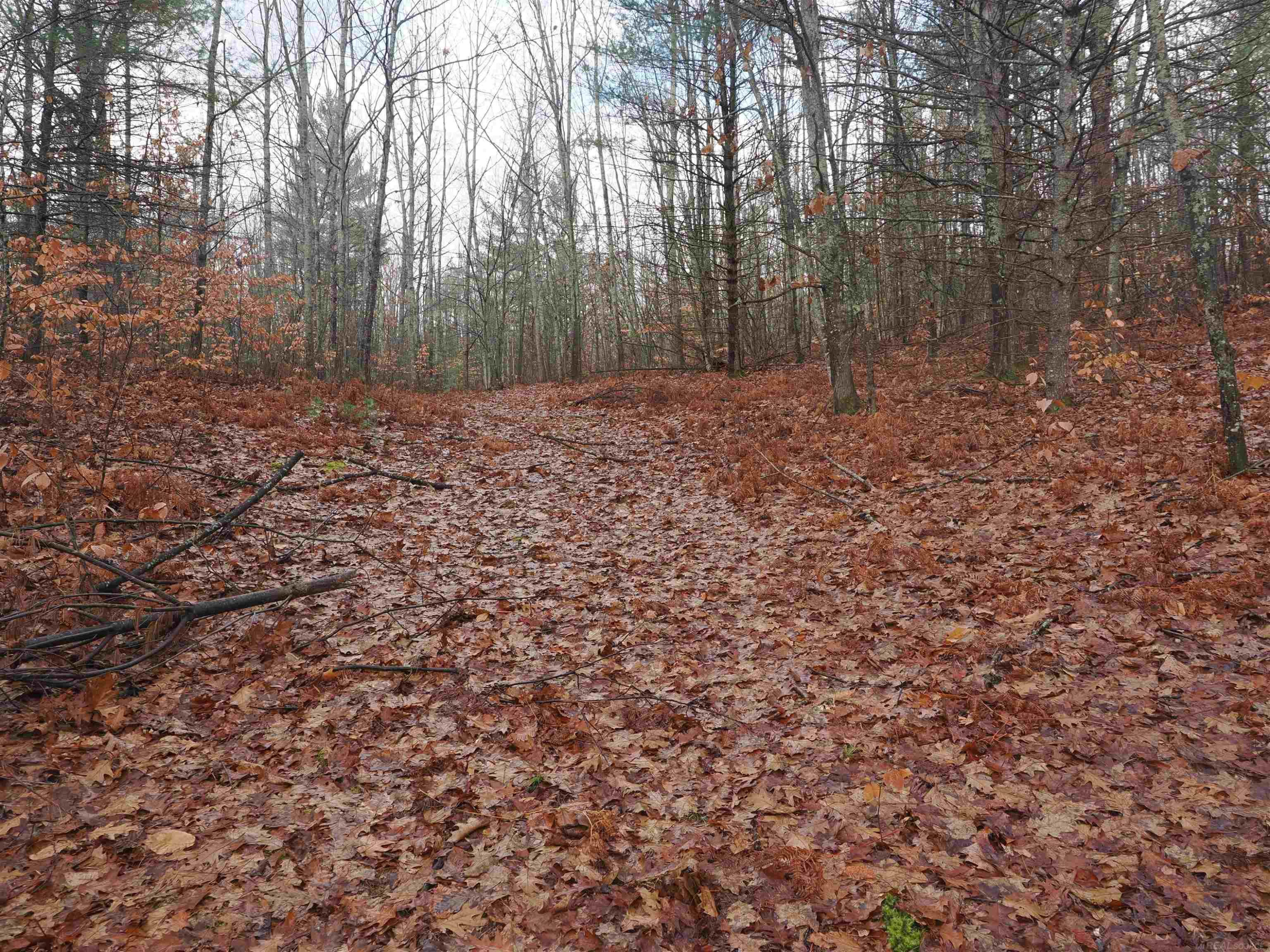 4205 Stoney Creek Road, Afton, MI 49705 — Photo 18