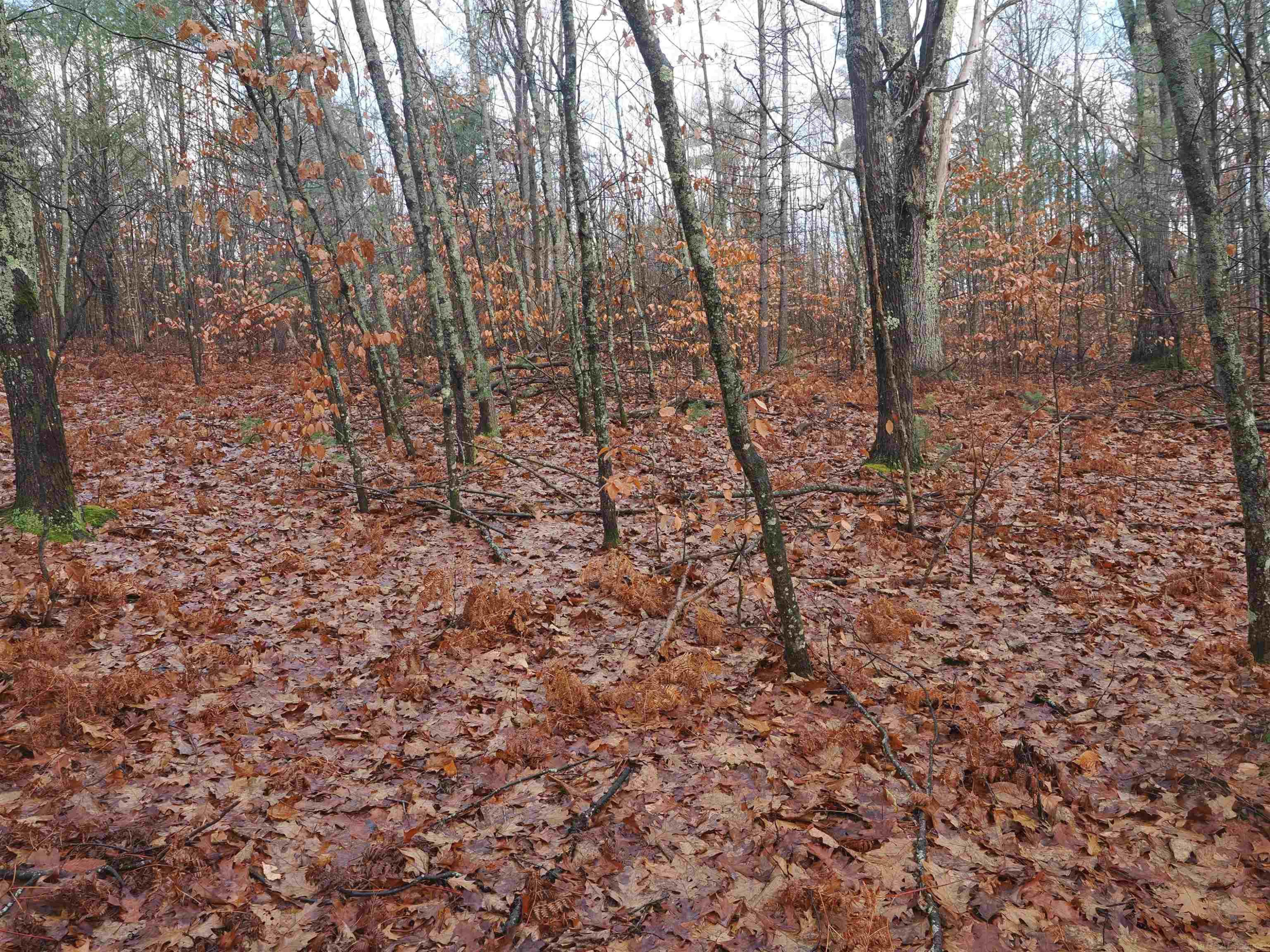 4205 Stoney Creek Road, Afton, MI 49705 — Photo 19