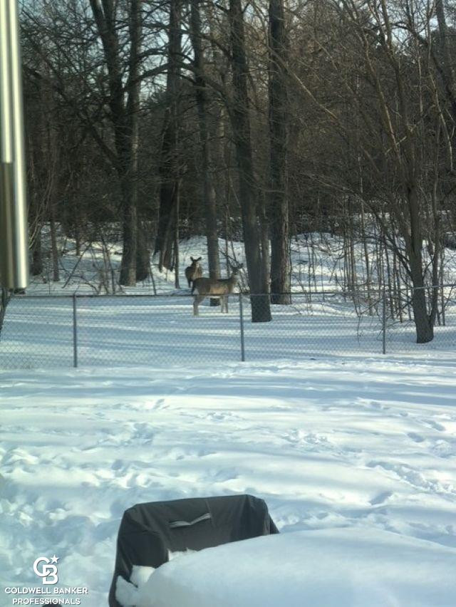 46602 Meadowview Drive, Shelby, MI 48317 — Photo 35